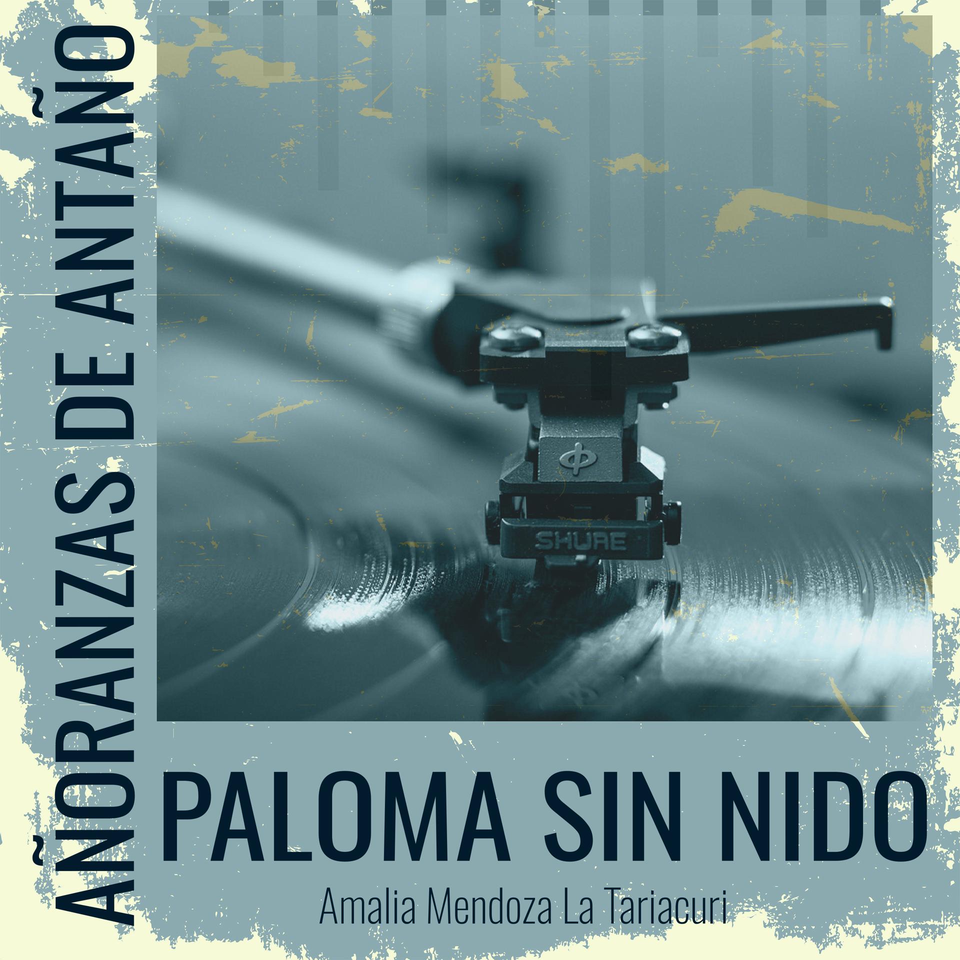 Постер альбома Añoranzas de Antaño - Paloma Sin Nido