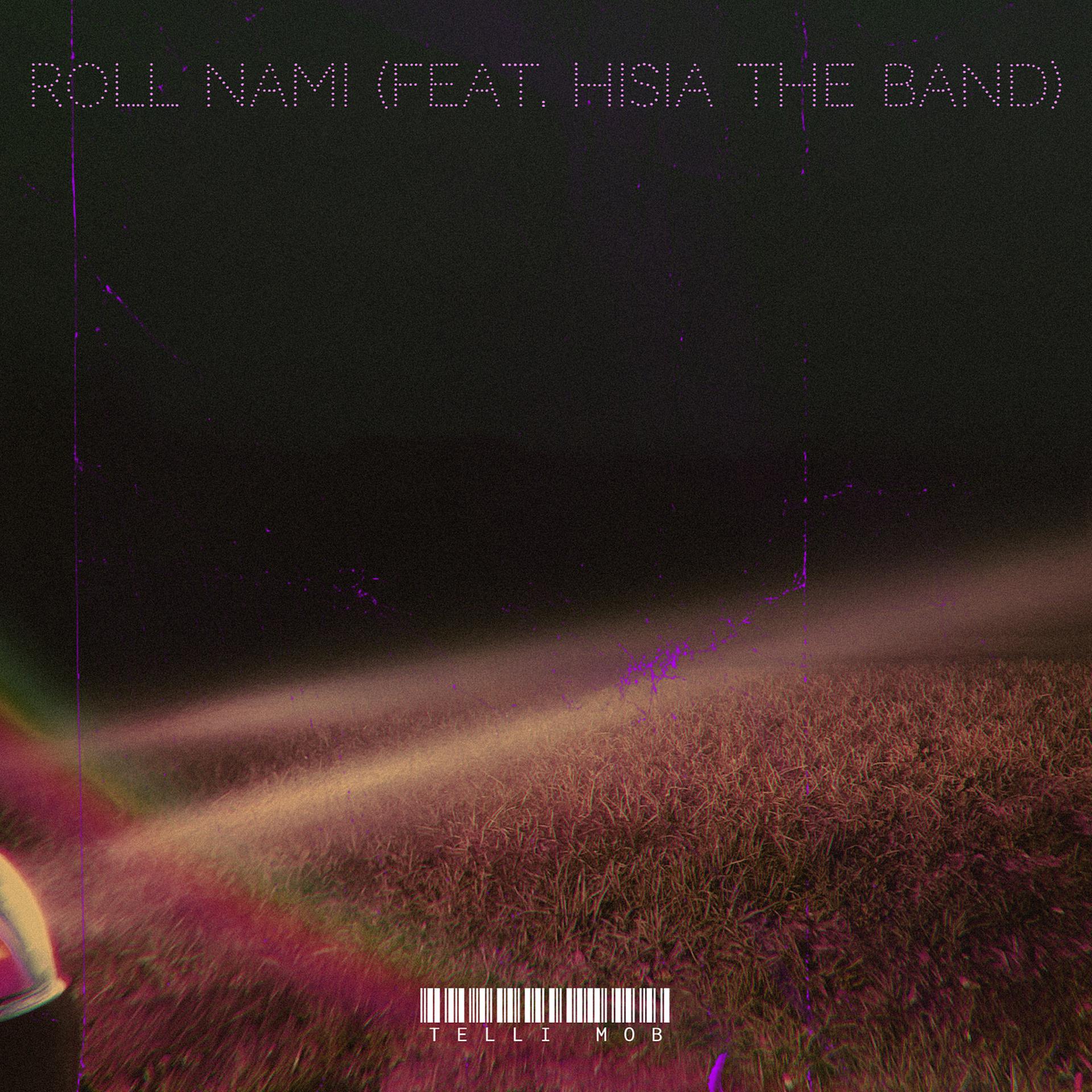 Постер альбома Roll Nami