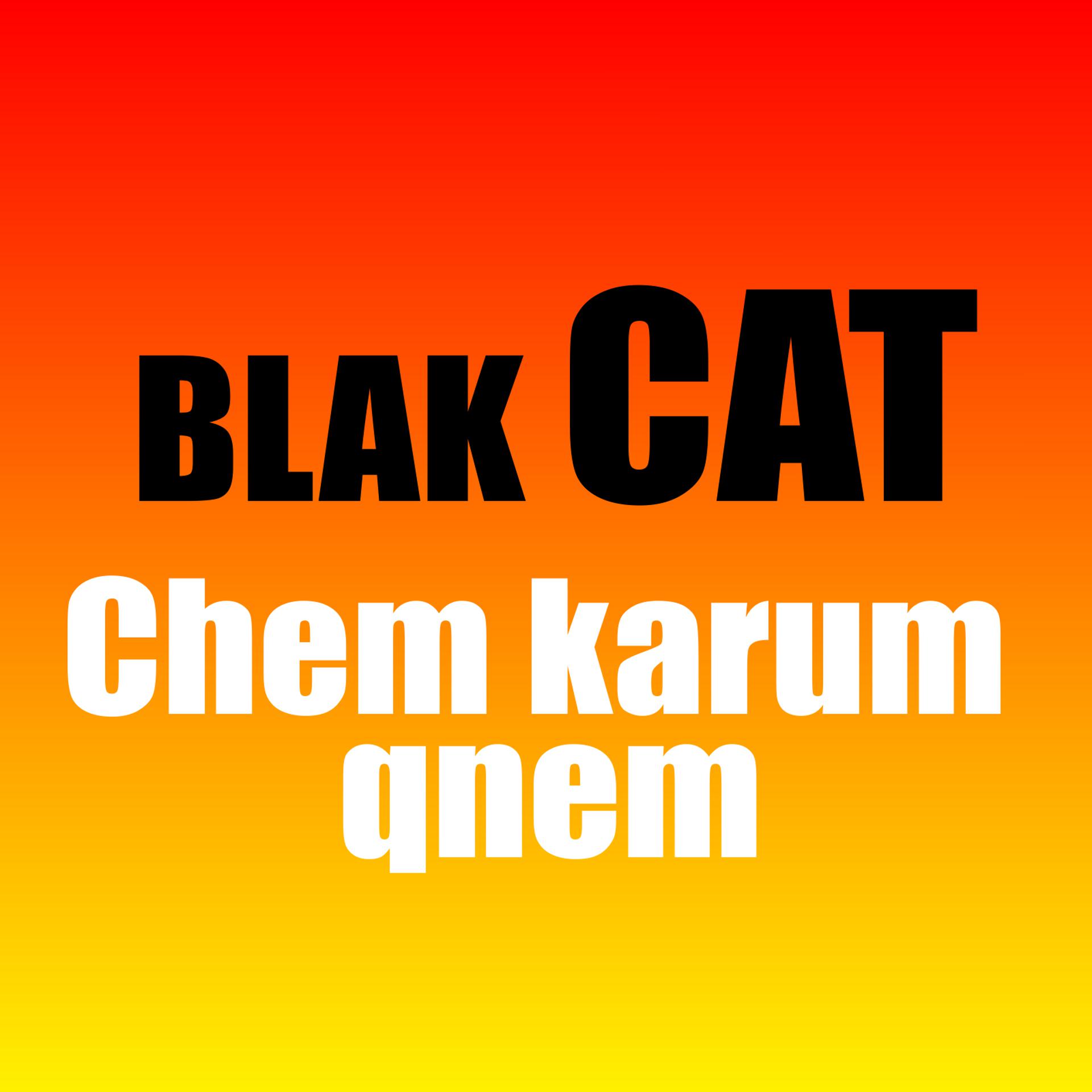 Постер альбома Chem karum qnem