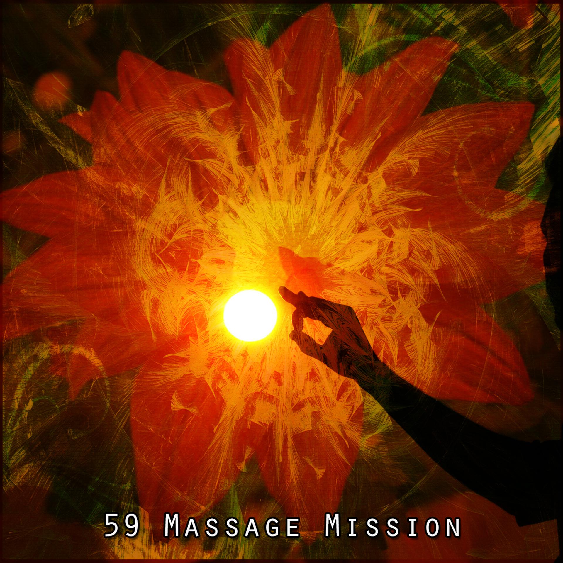 Постер альбома 59 Massage Mission