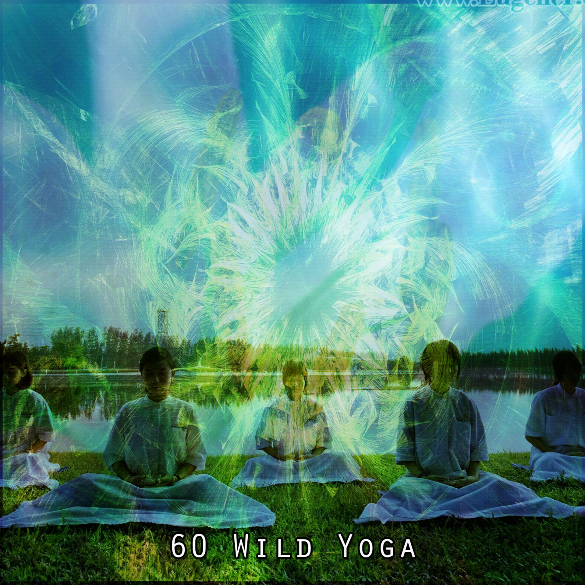 Постер альбома 60 Wild Yoga