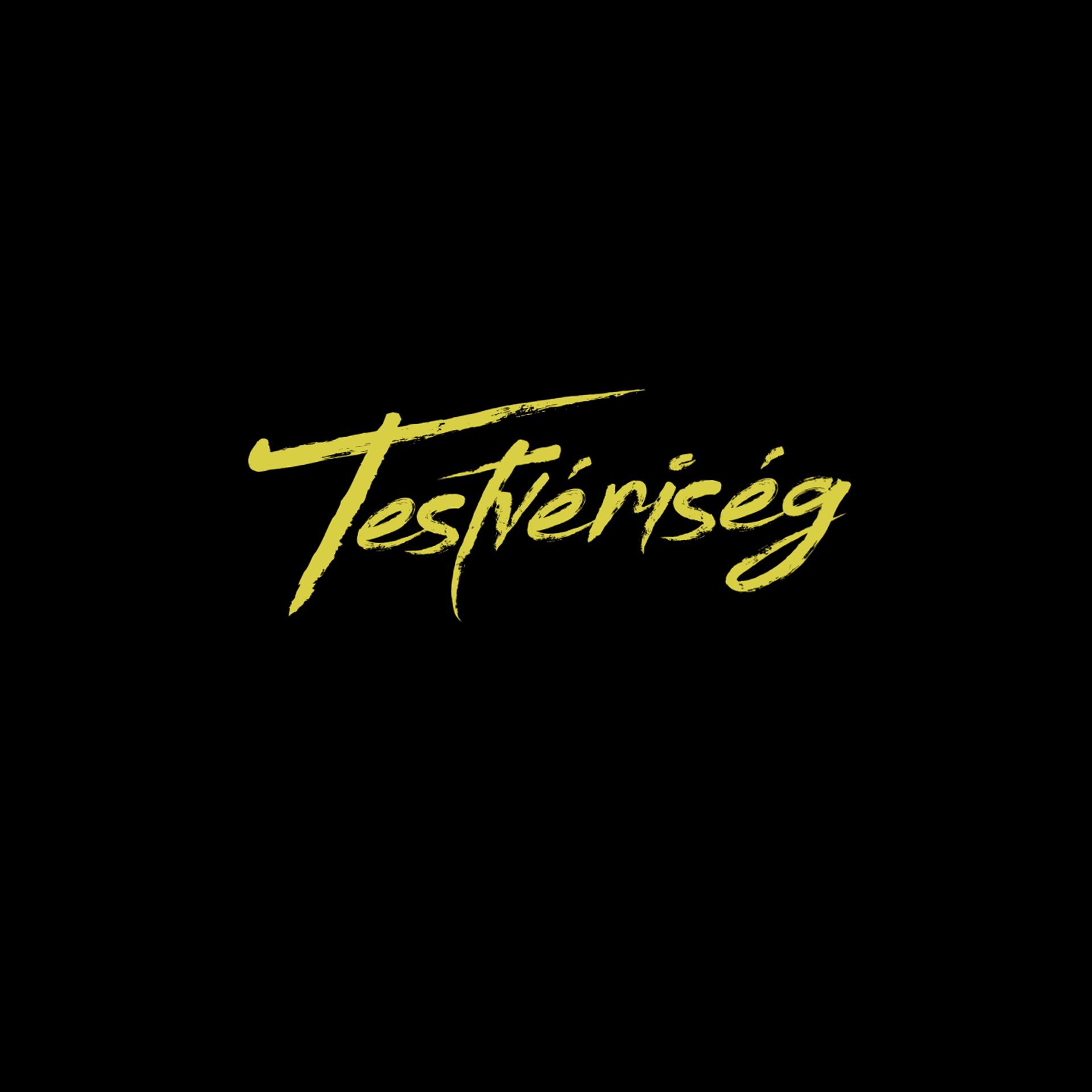 Постер альбома Testvériség