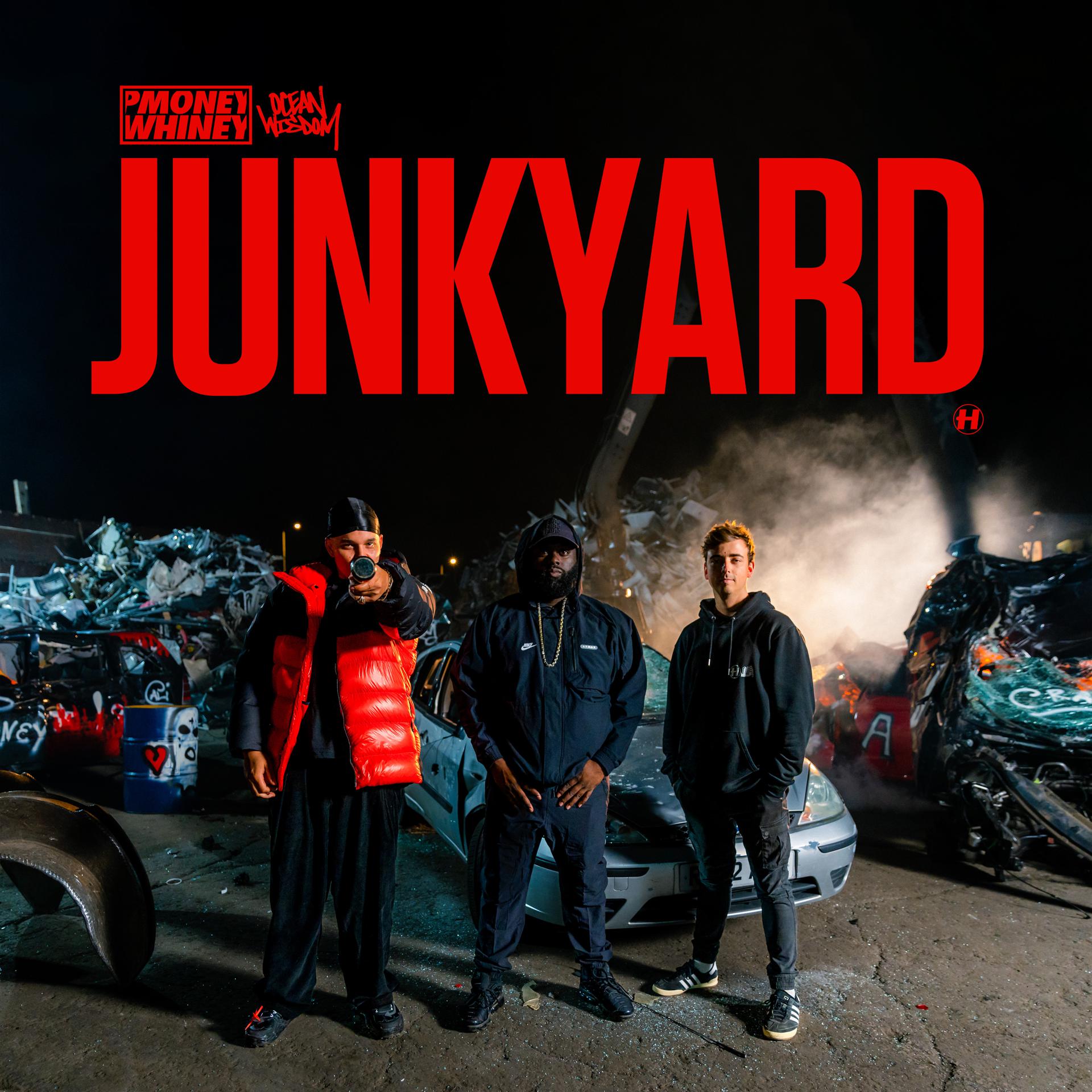 Постер альбома Junkyard
