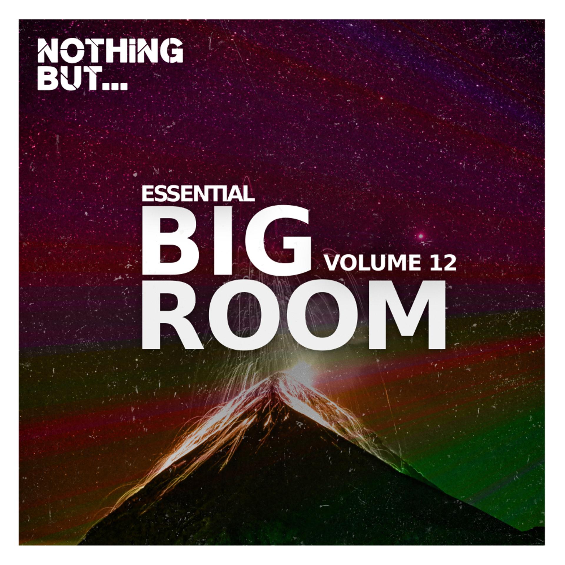 Постер альбома Nothing But... Essential Big Room, Vol. 12