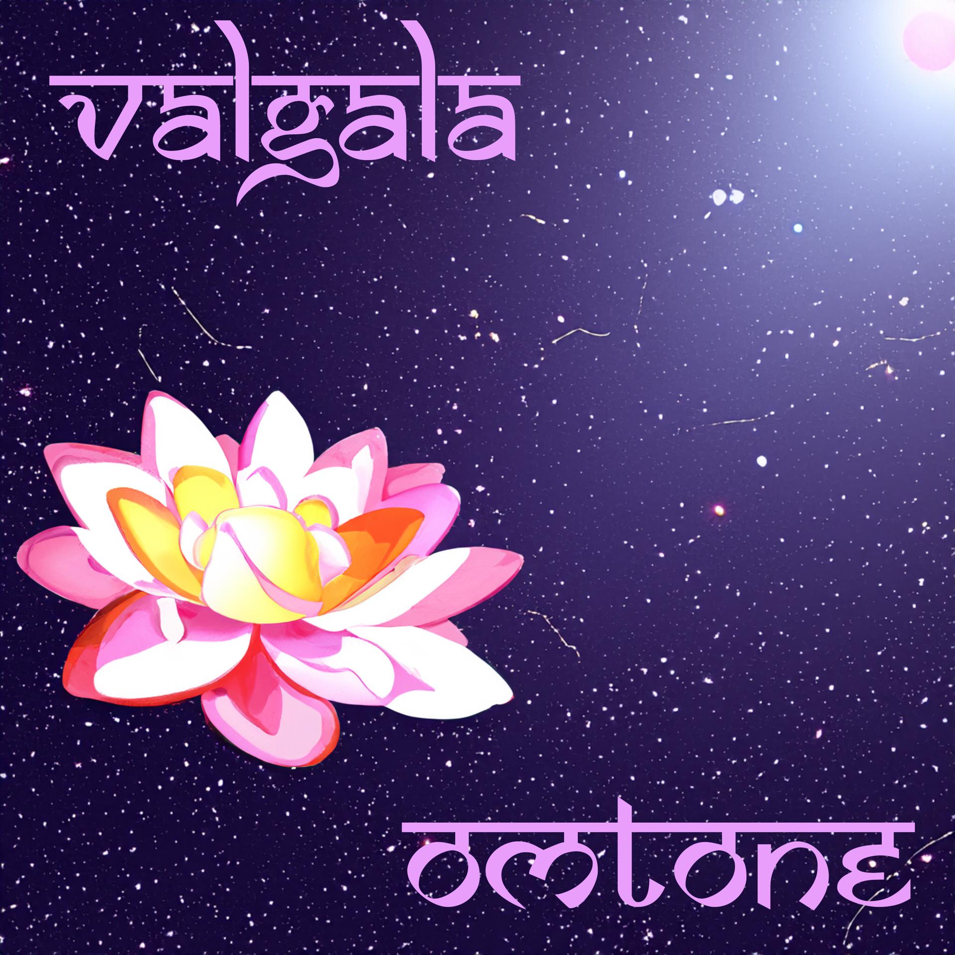 Постер альбома Valgala