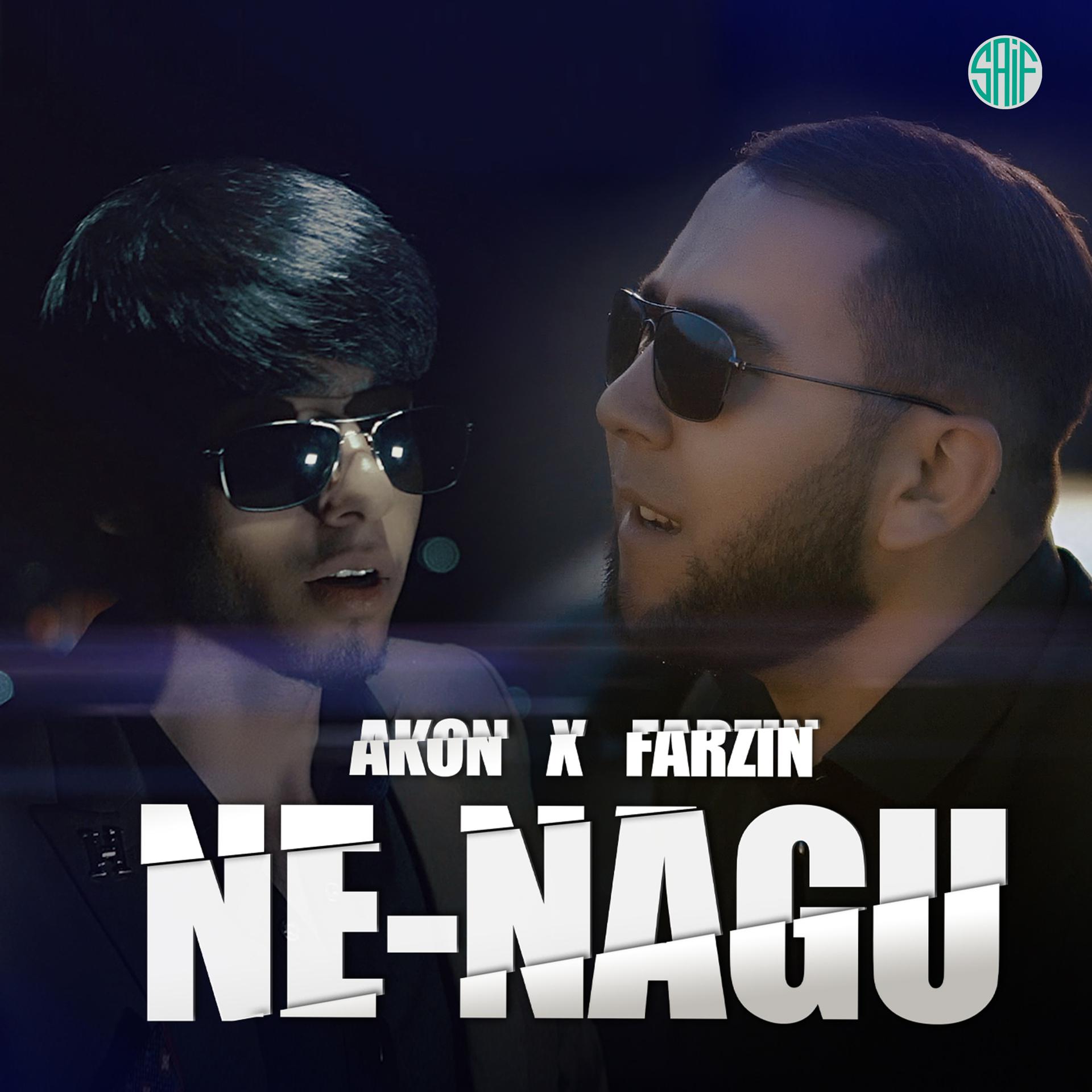 Постер альбома Ne Nagu