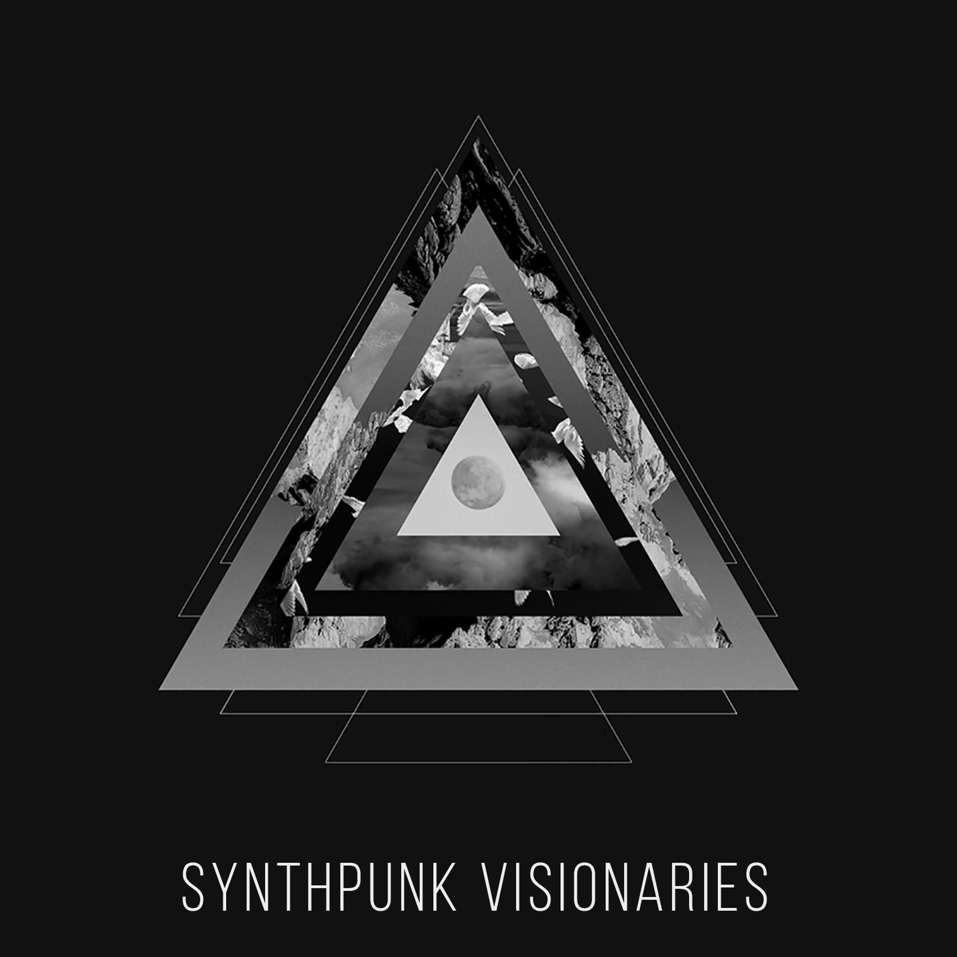 Постер альбома Synthpunk Visionaries