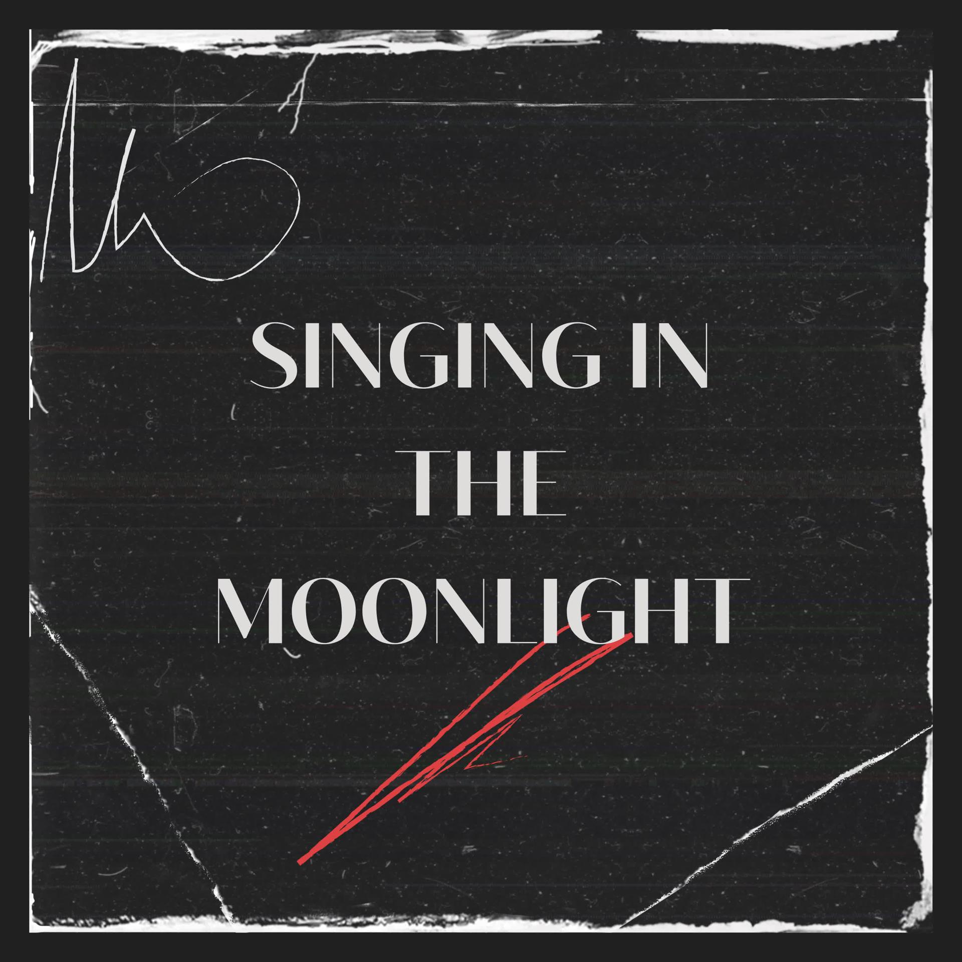 Постер альбома Singing In the Moonlight