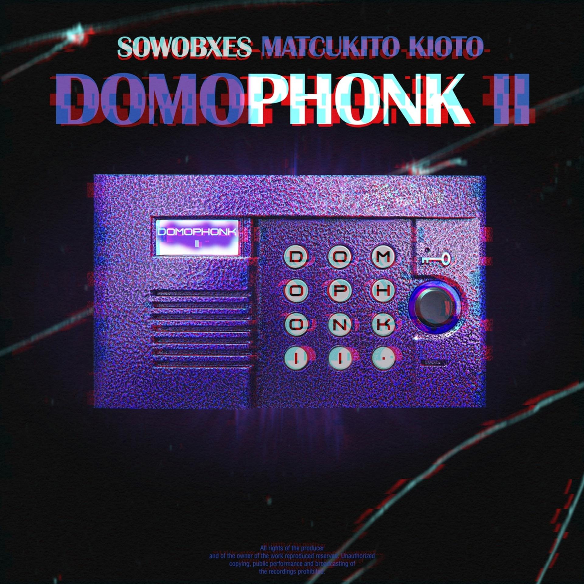 Постер альбома DOMOPHONK II
