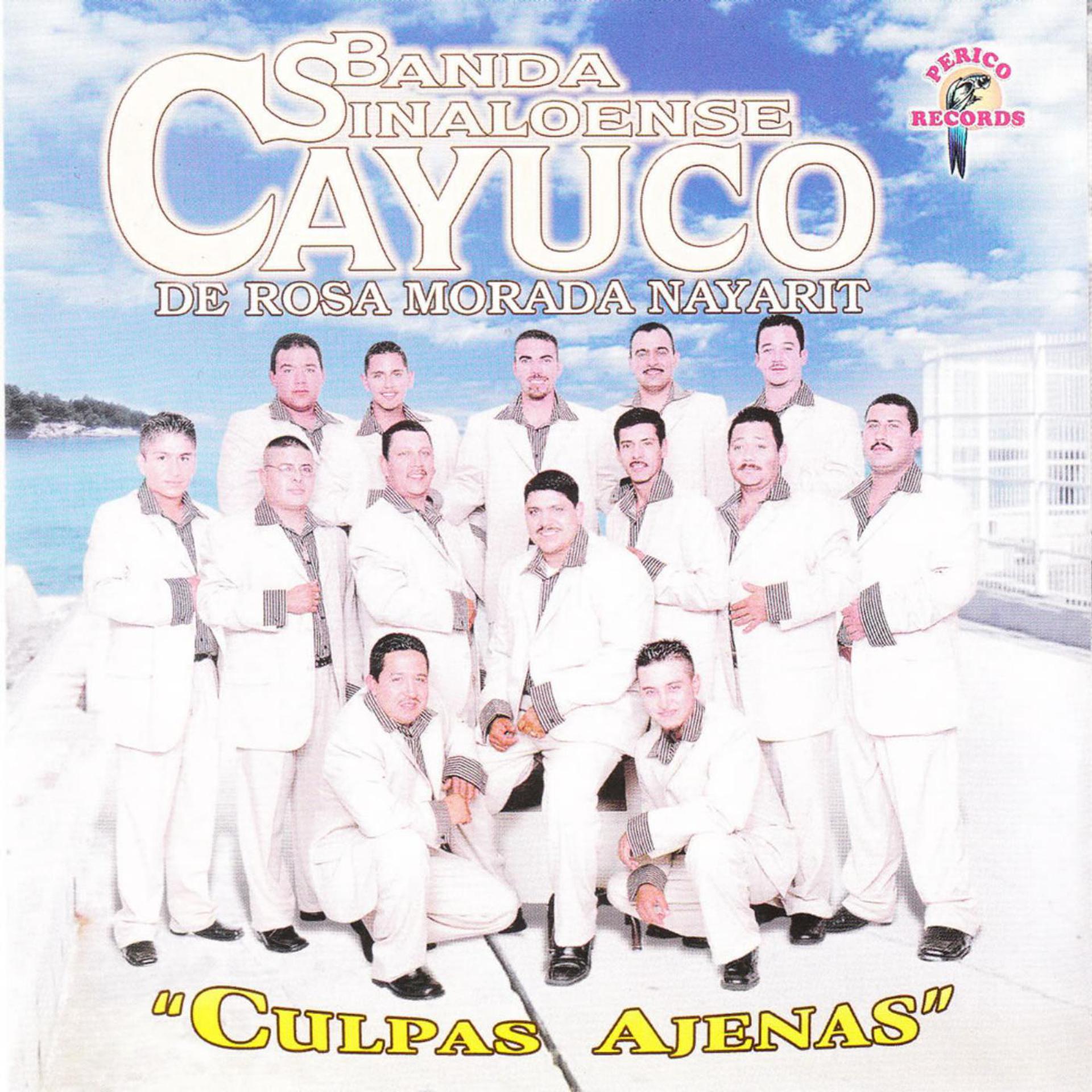 Постер альбома "Culpas Ajenas"