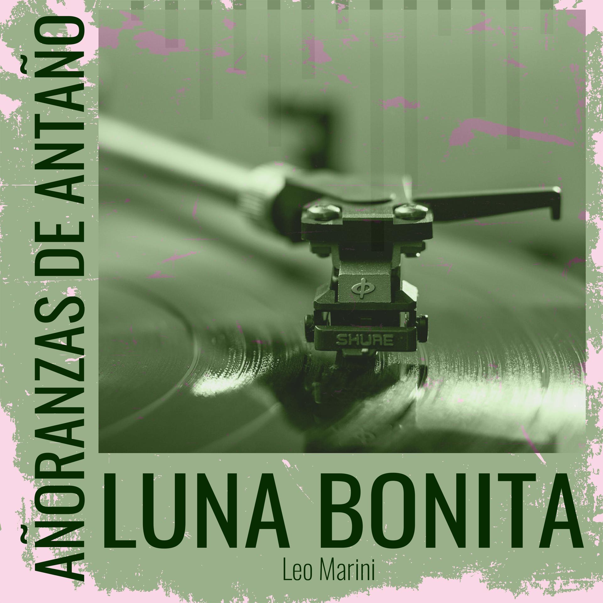 Постер альбома Añoranzas de Antaño - Luna Bonita