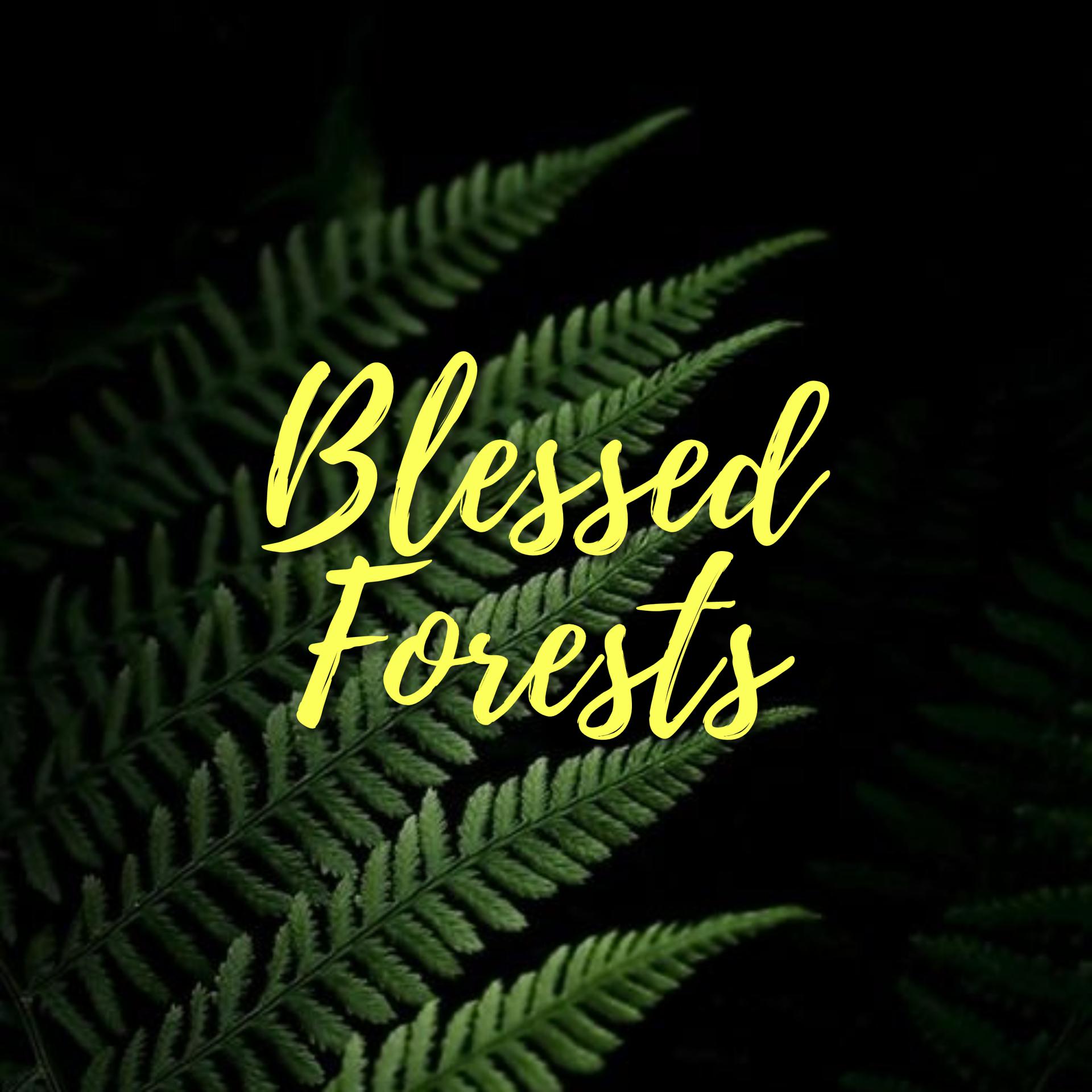 Постер альбома Blessed Forests