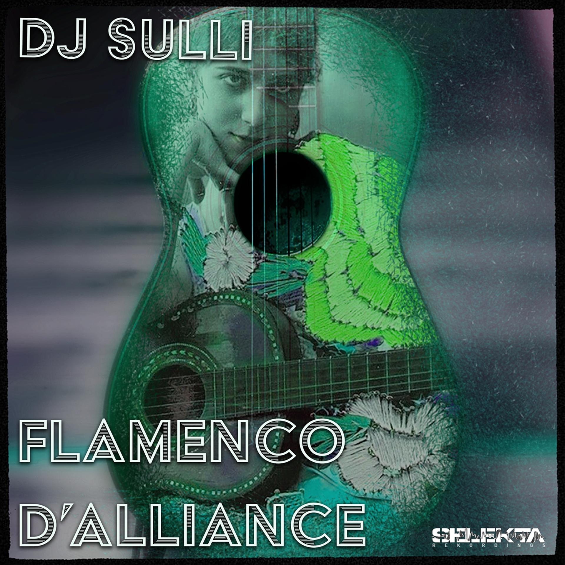 Постер альбома Flamenco D'alliance