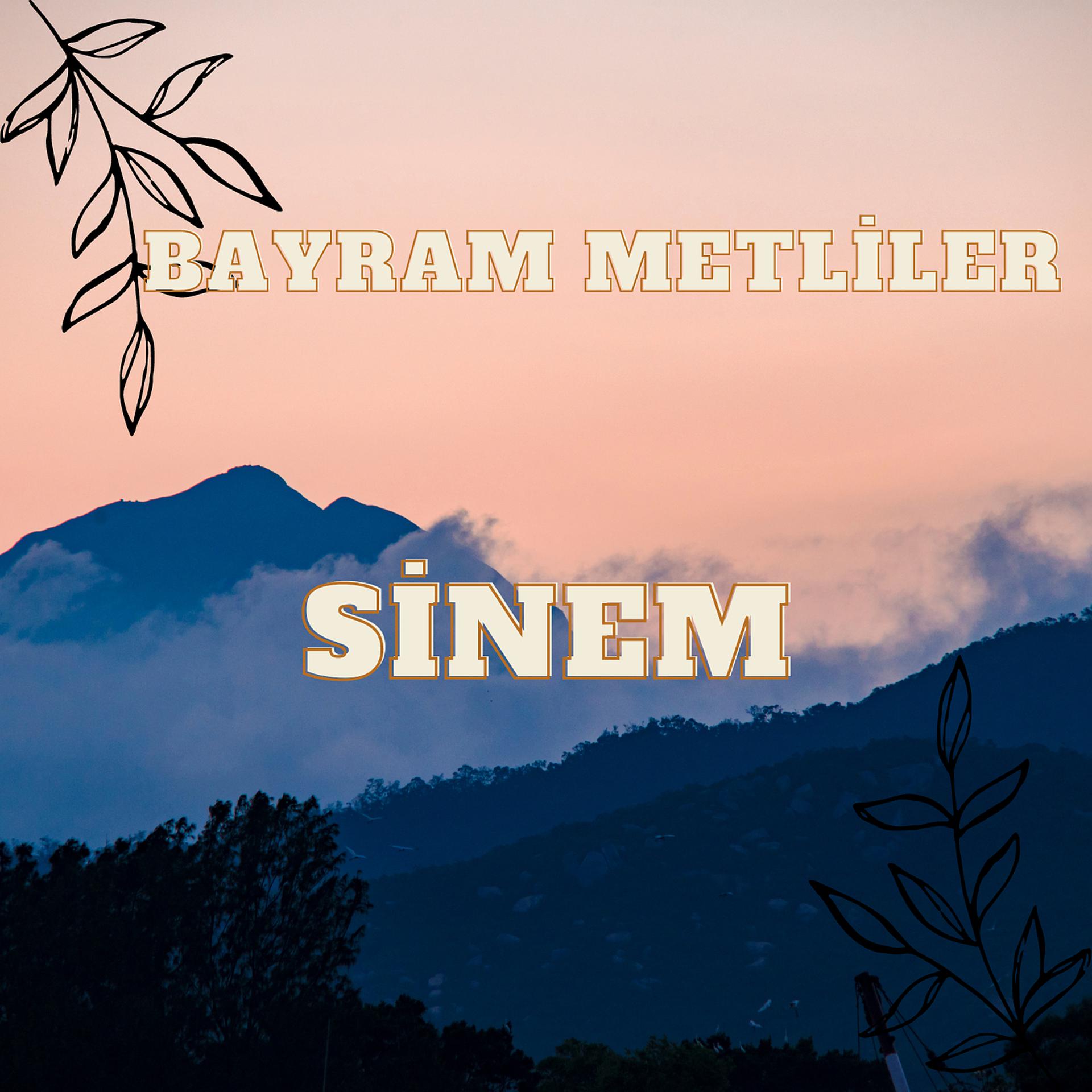 Постер альбома Sinem