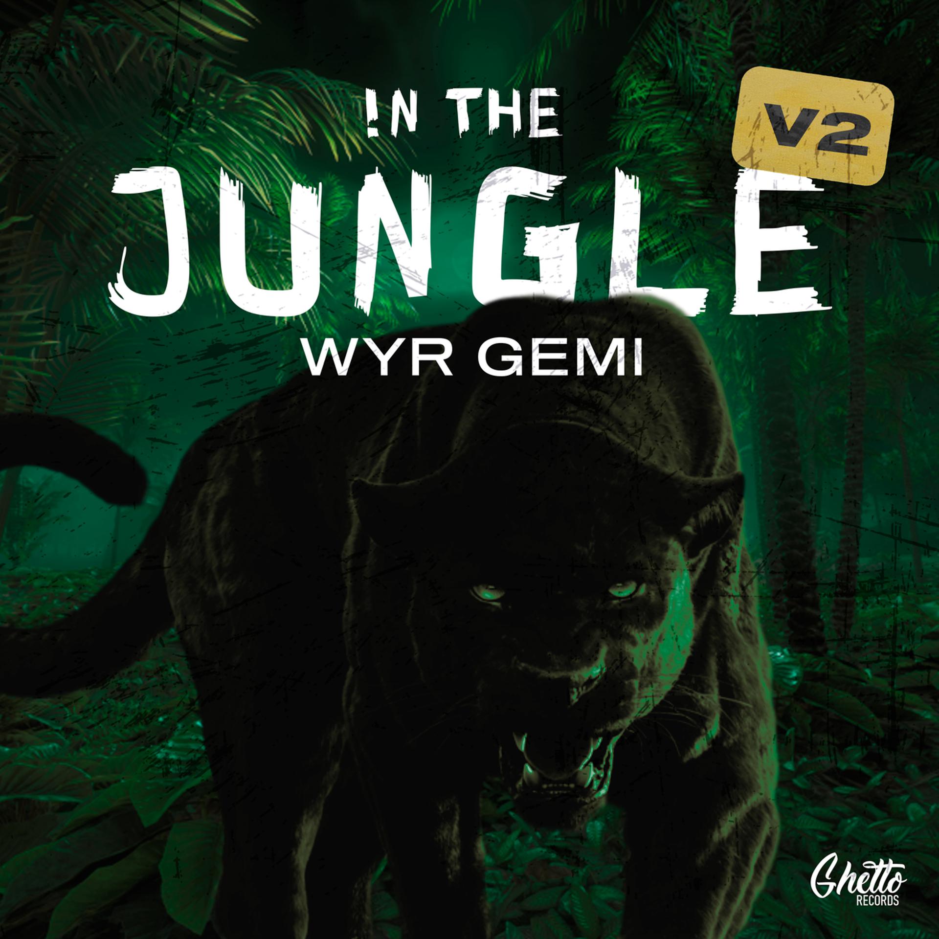 Постер альбома In The Jungle V2