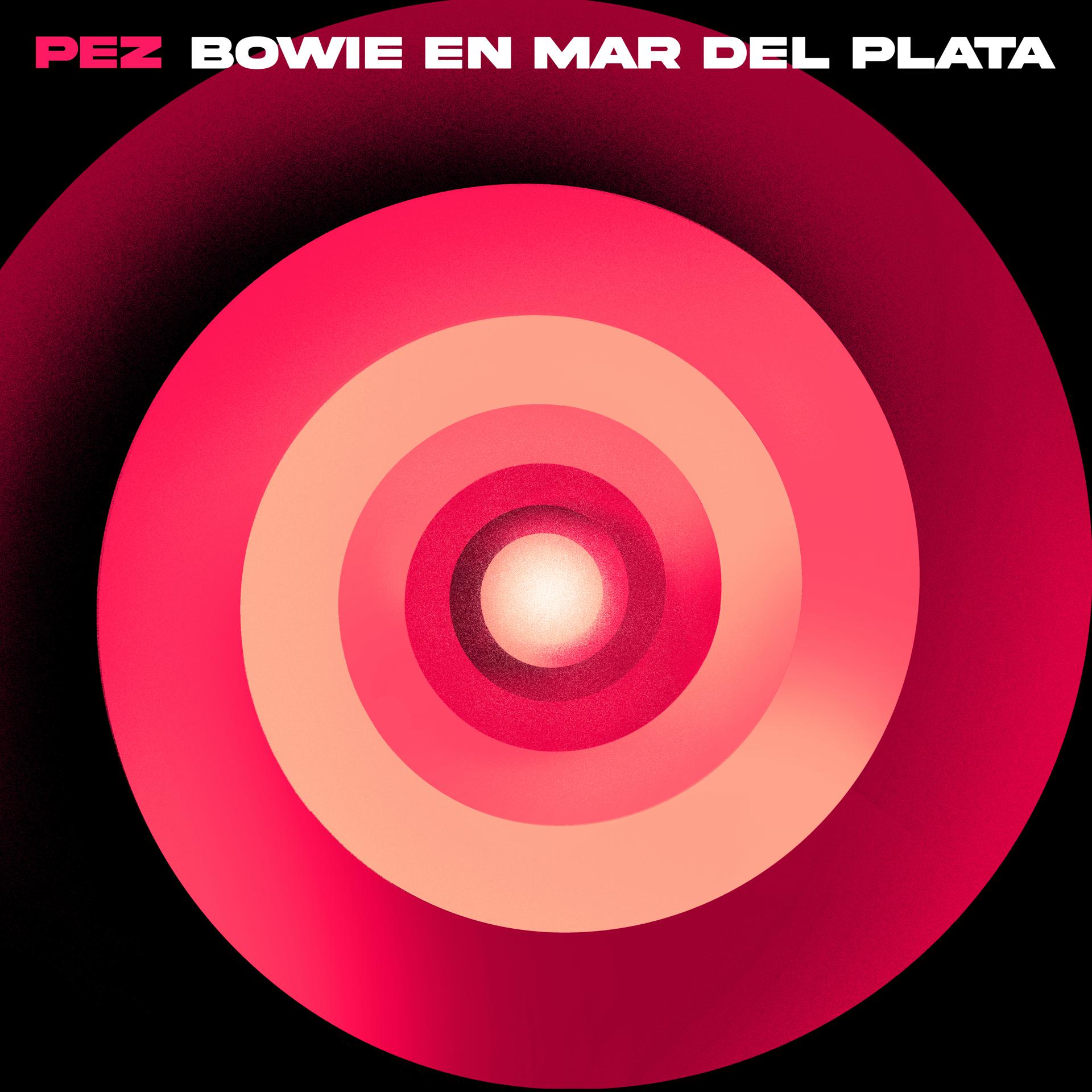 Постер альбома Bowie en Mar del Plata