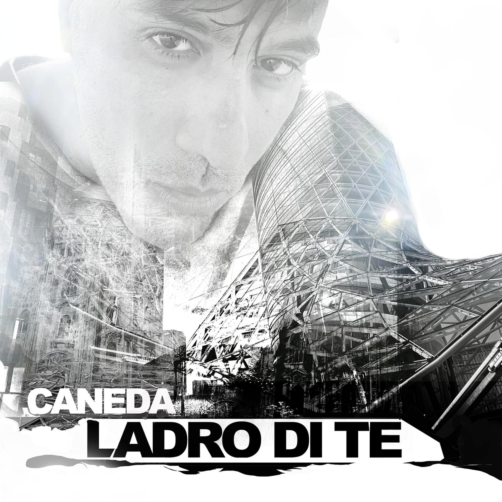 Постер альбома Ladro di Te