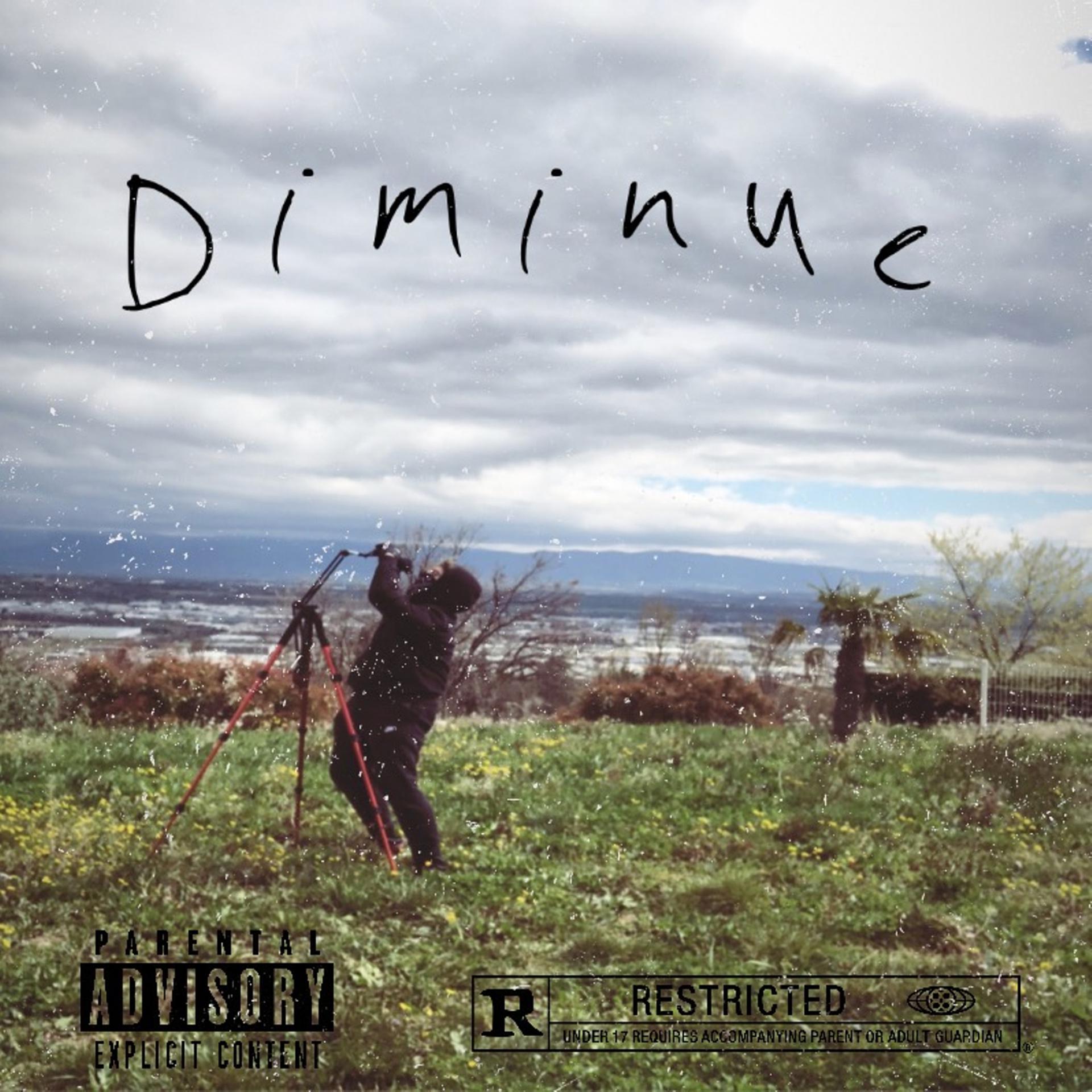 Постер альбома Diminue