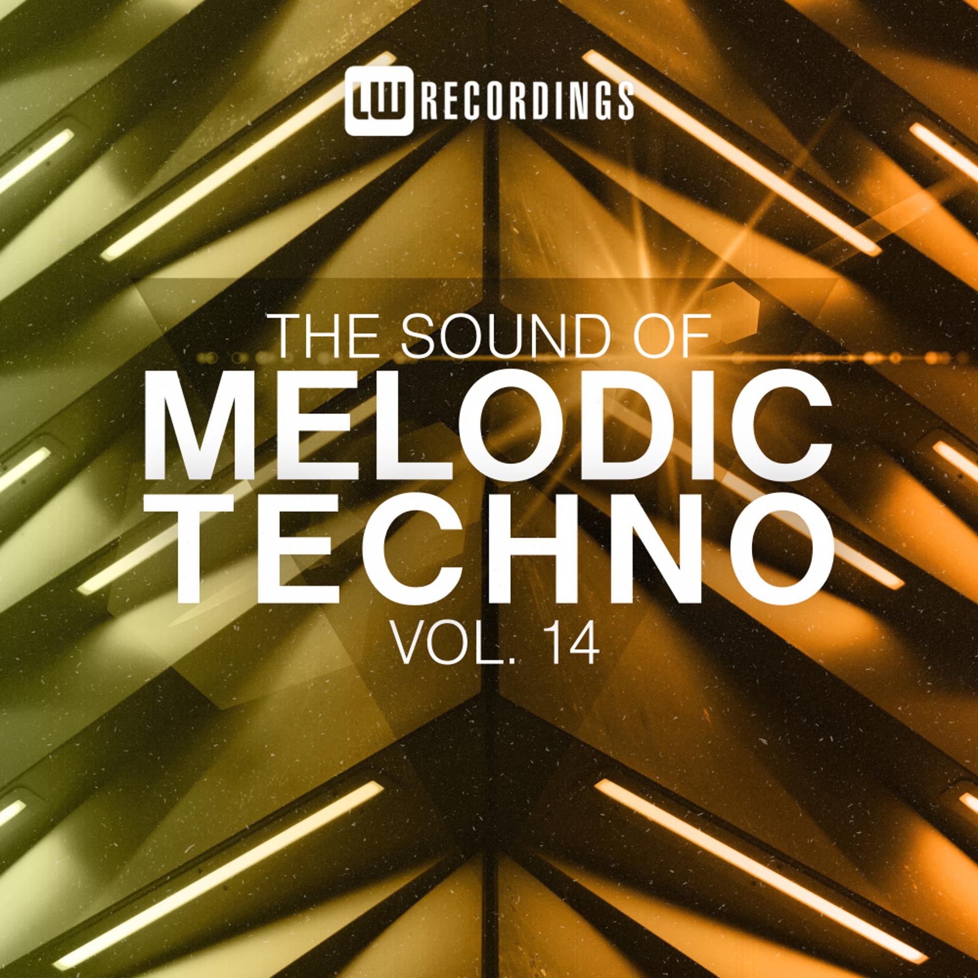 Постер альбома The Sound Of Melodic Techno, Vol. 14