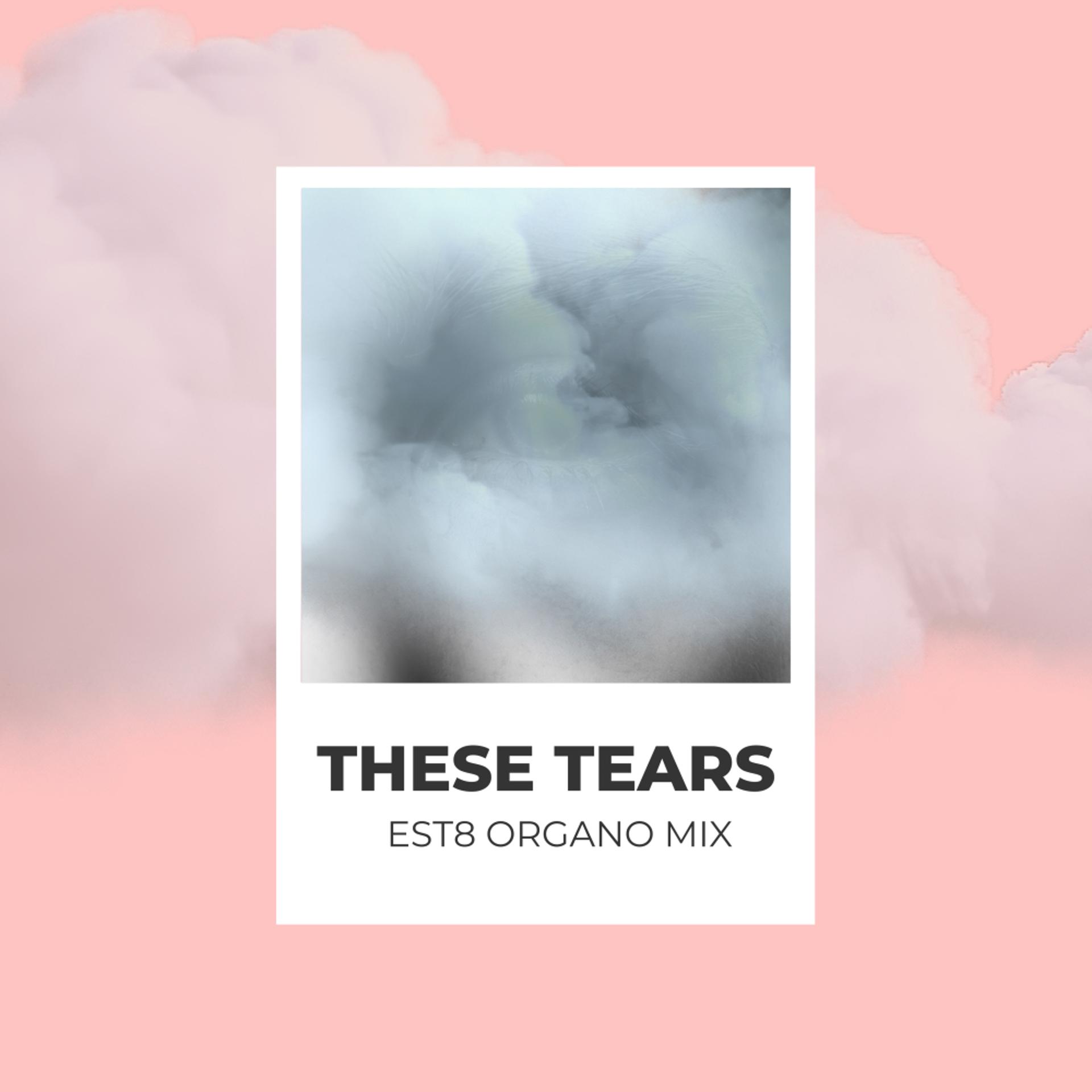 Постер альбома These Tears (Est8 Organo Mix)