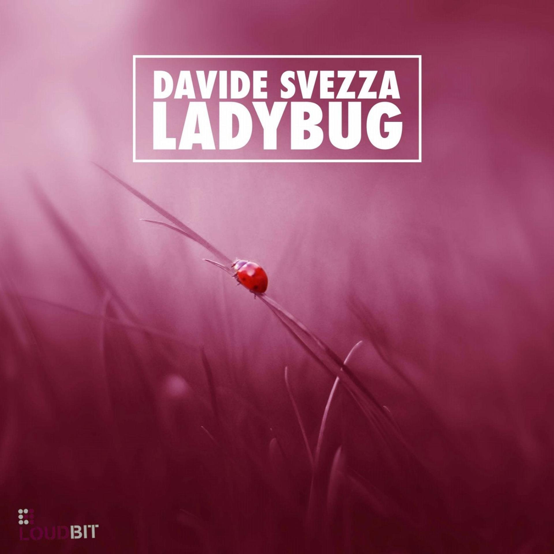 Постер альбома Ladybug