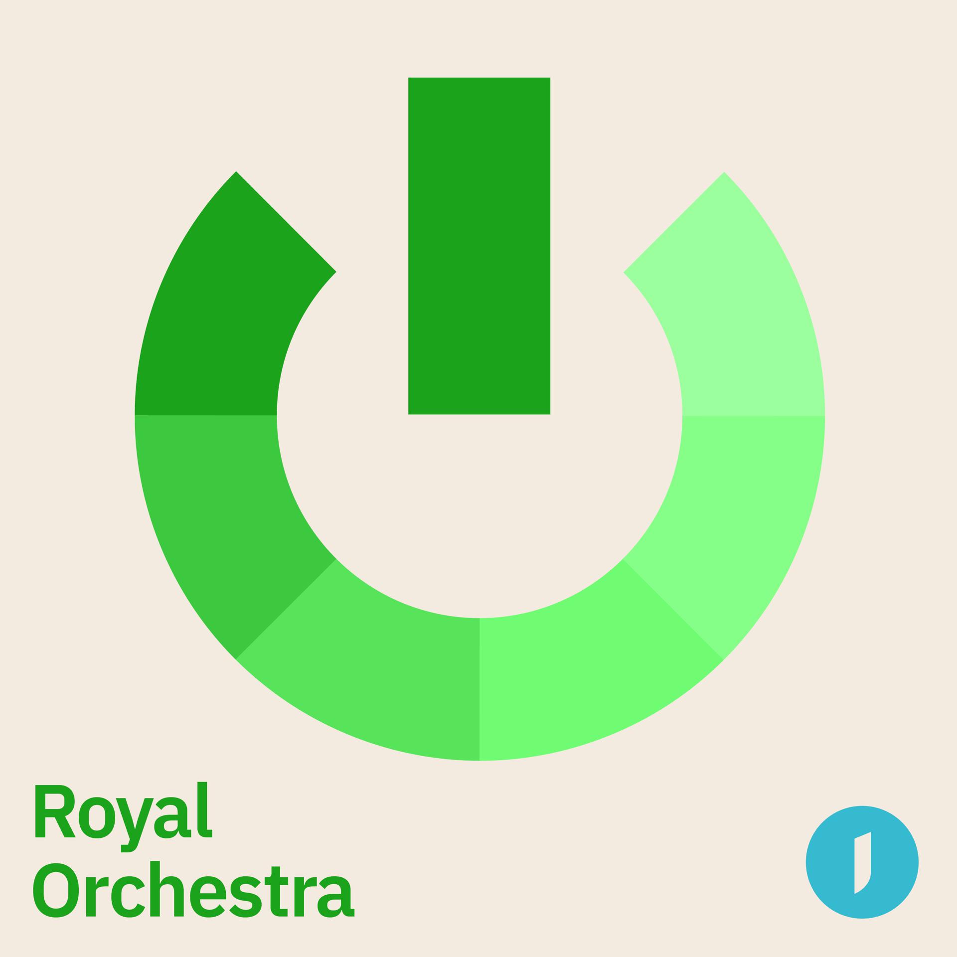 Постер альбома Royal Orchestra