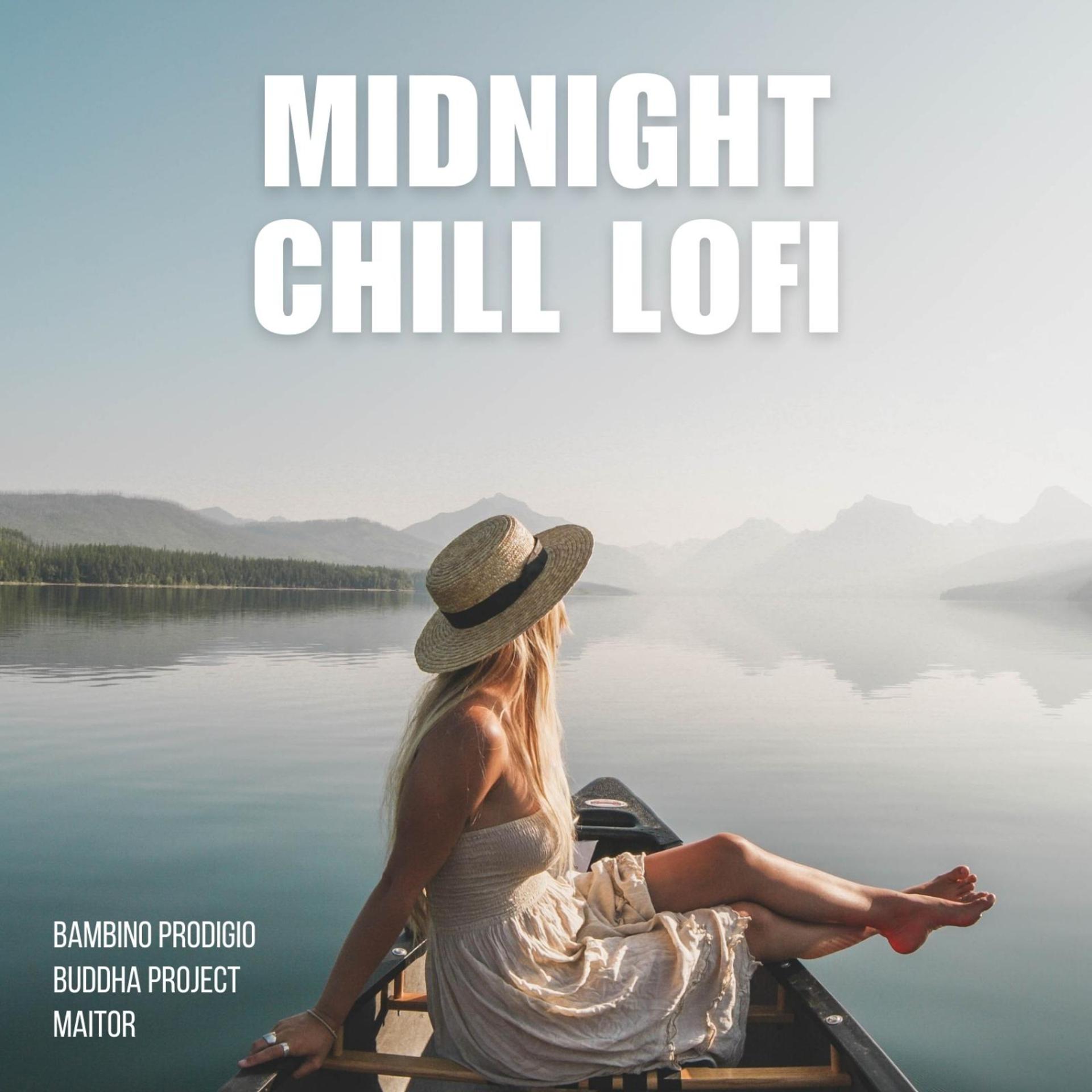 Постер альбома Midnight Chill Lofi