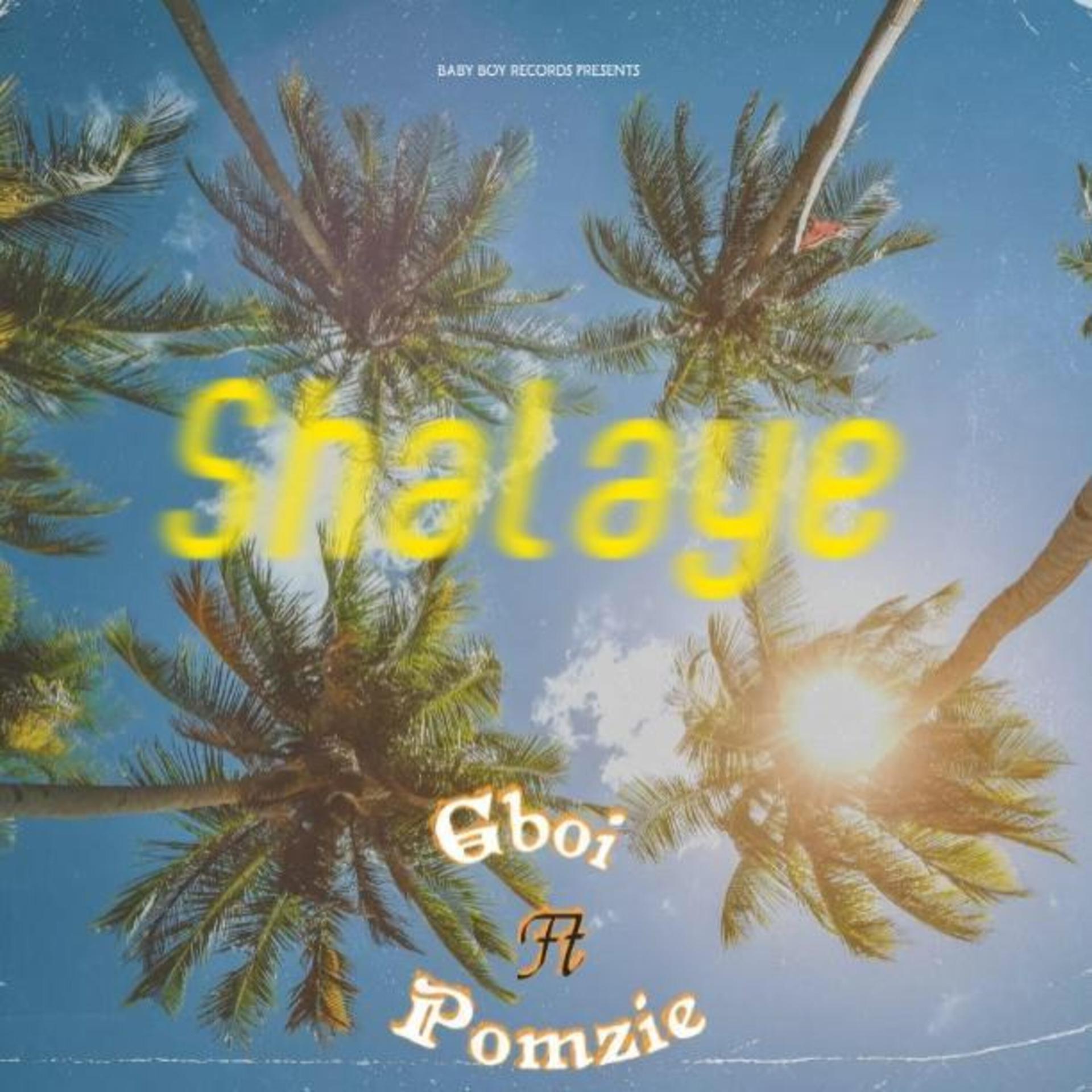 Постер альбома Shalaye