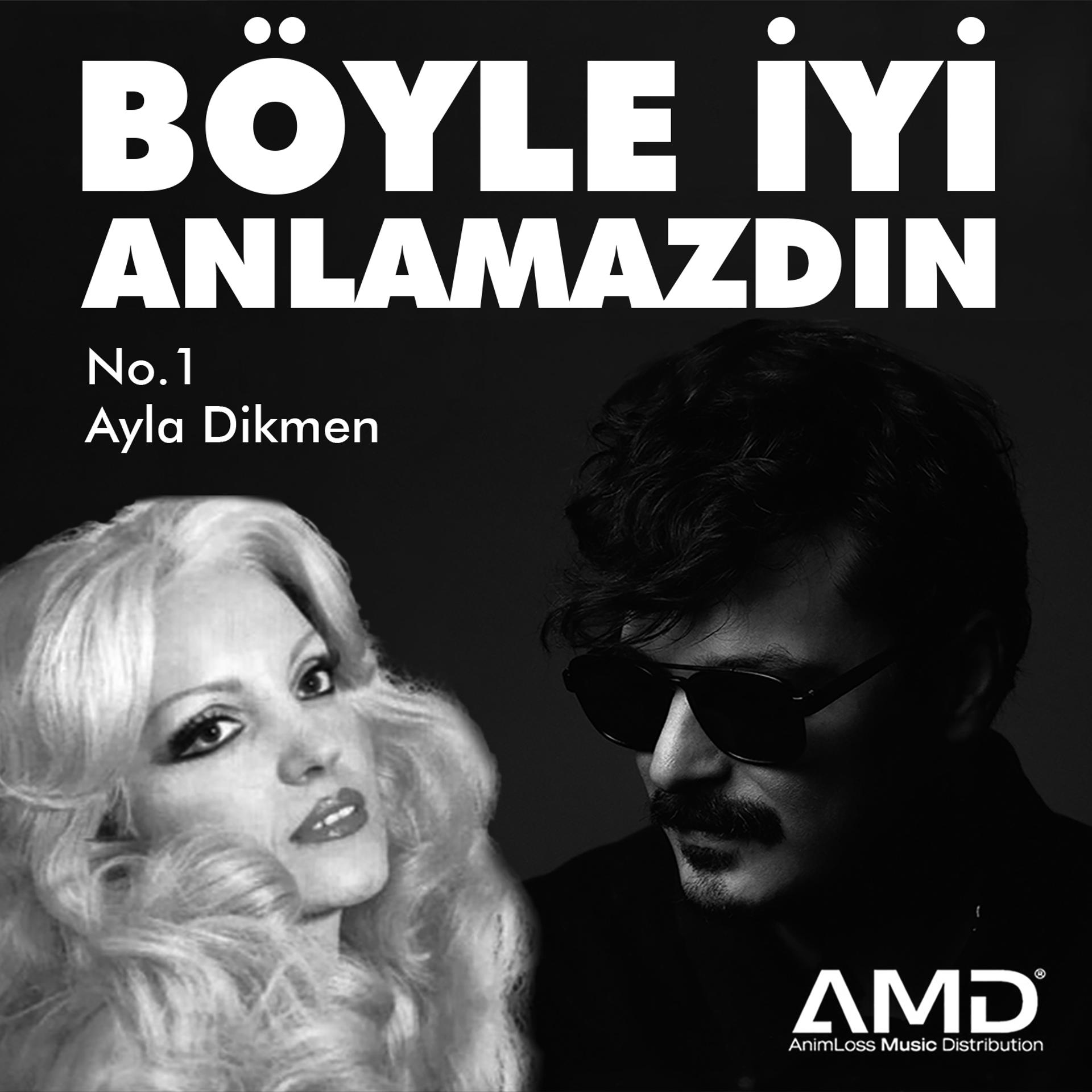 Постер альбома Böyle İyi x Anlamazdın