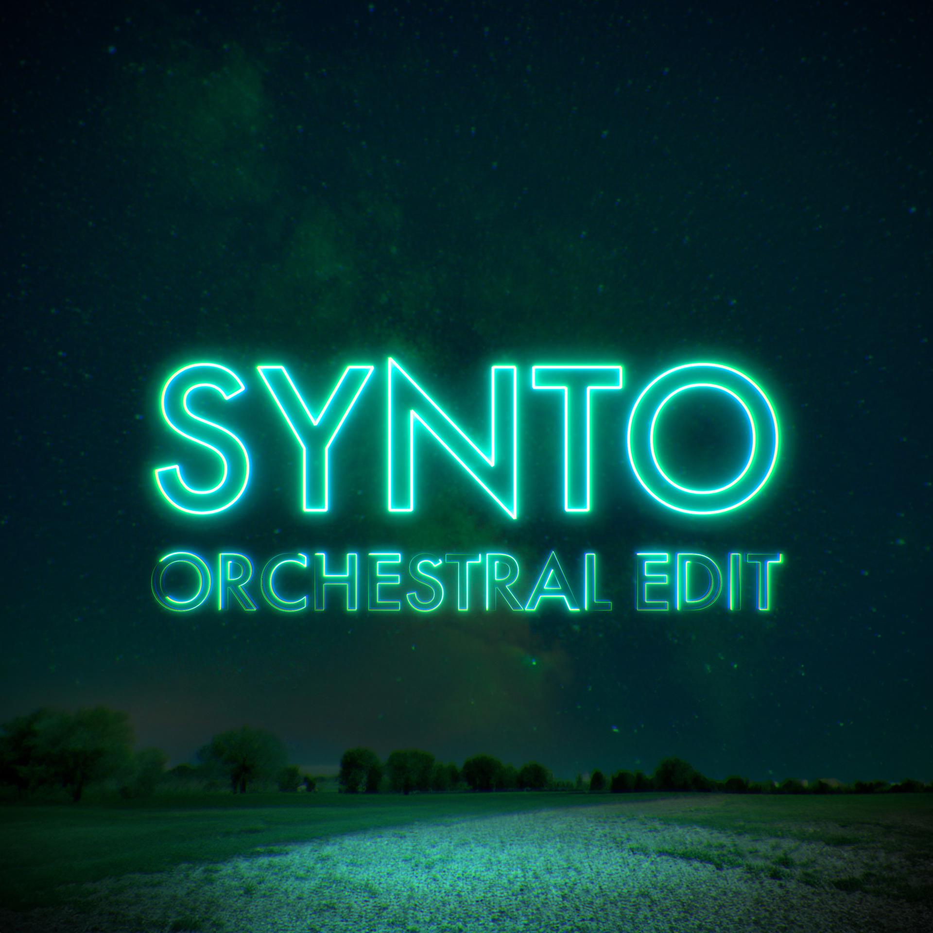 Постер альбома Synto