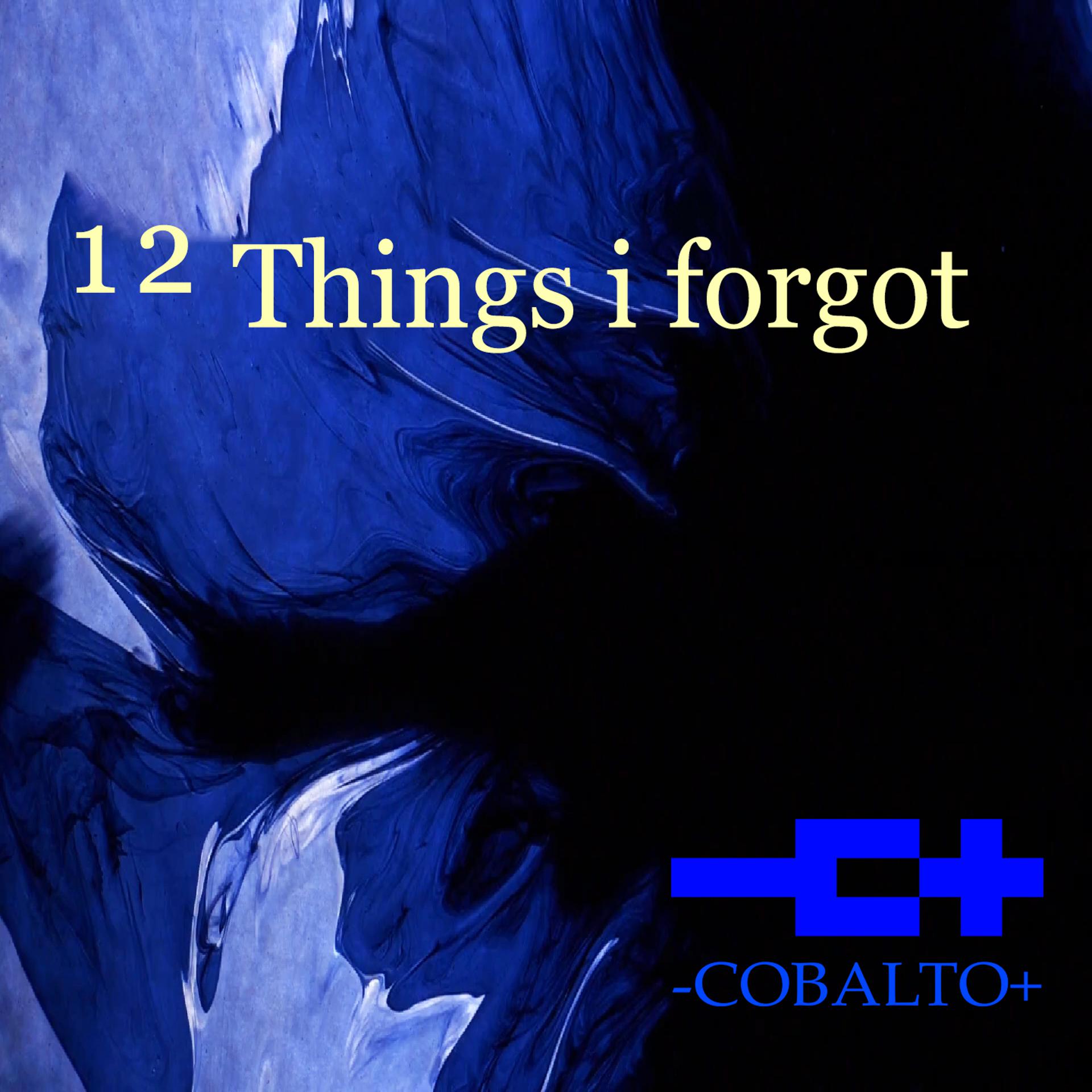 Постер альбома 12 Things I Forgot