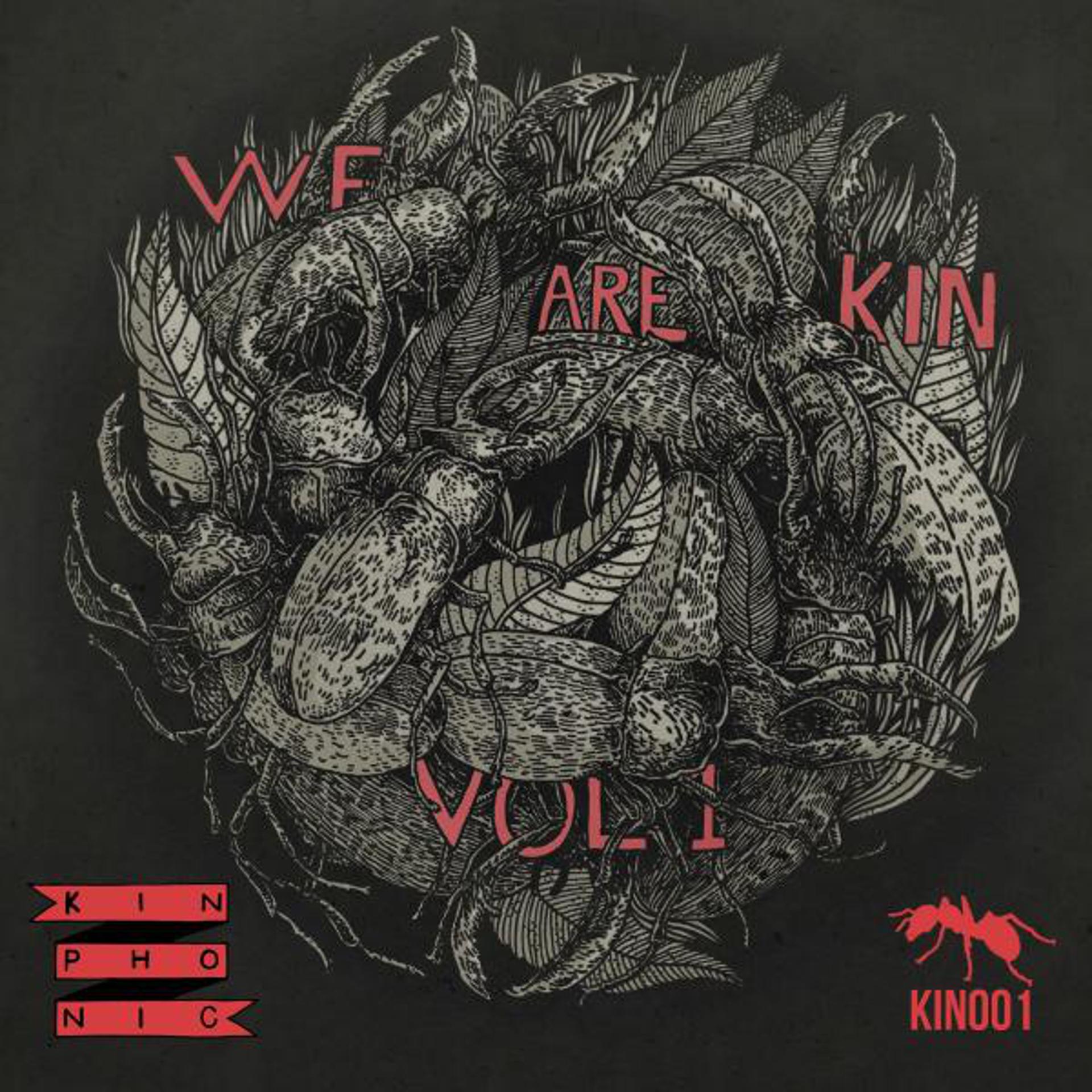 Постер альбома We Are Kin Vol.1