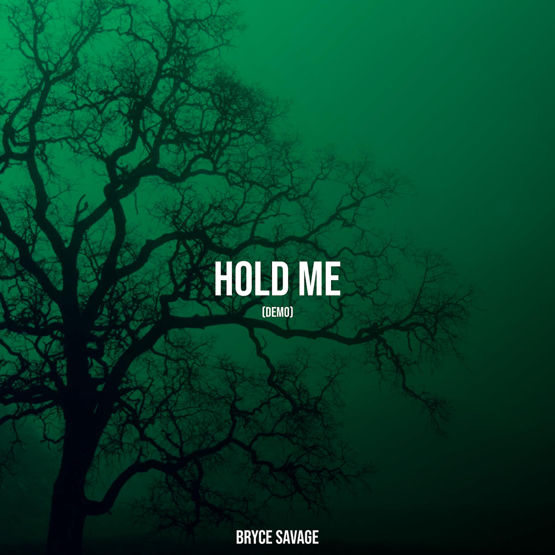 Постер альбома Hold Me (Demo)
