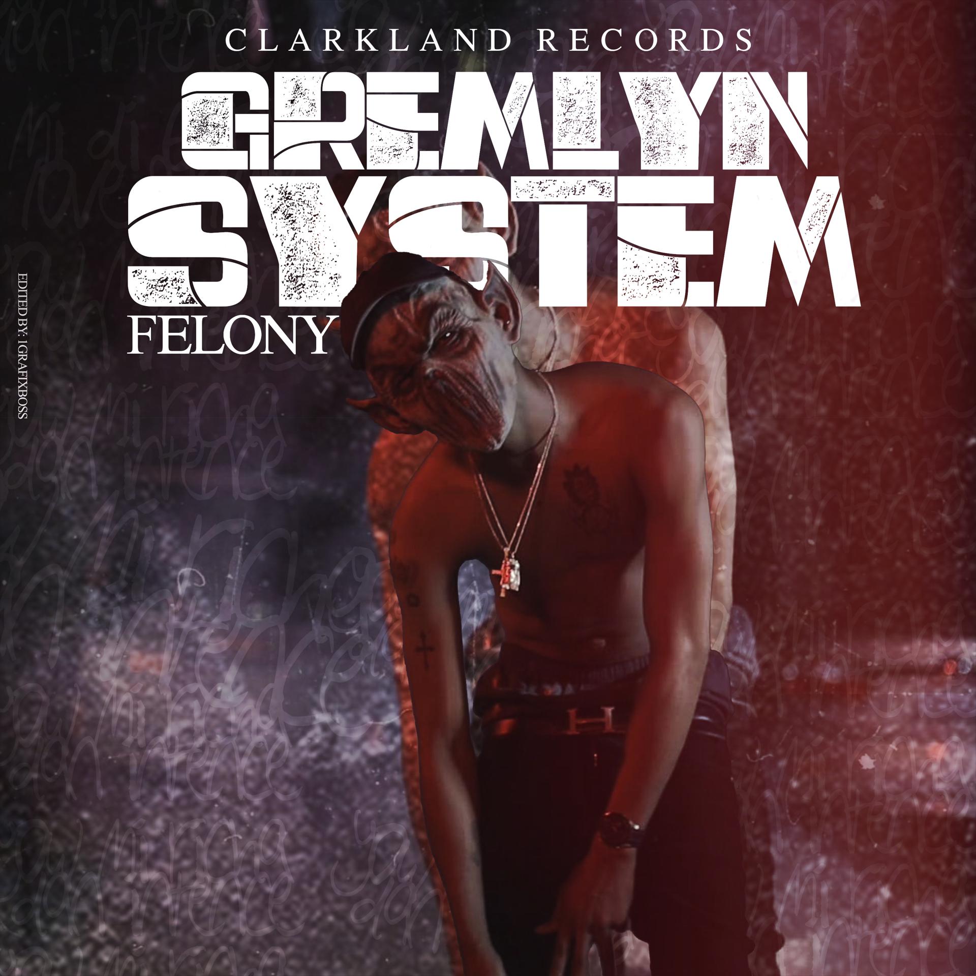 Постер альбома Gremlin System