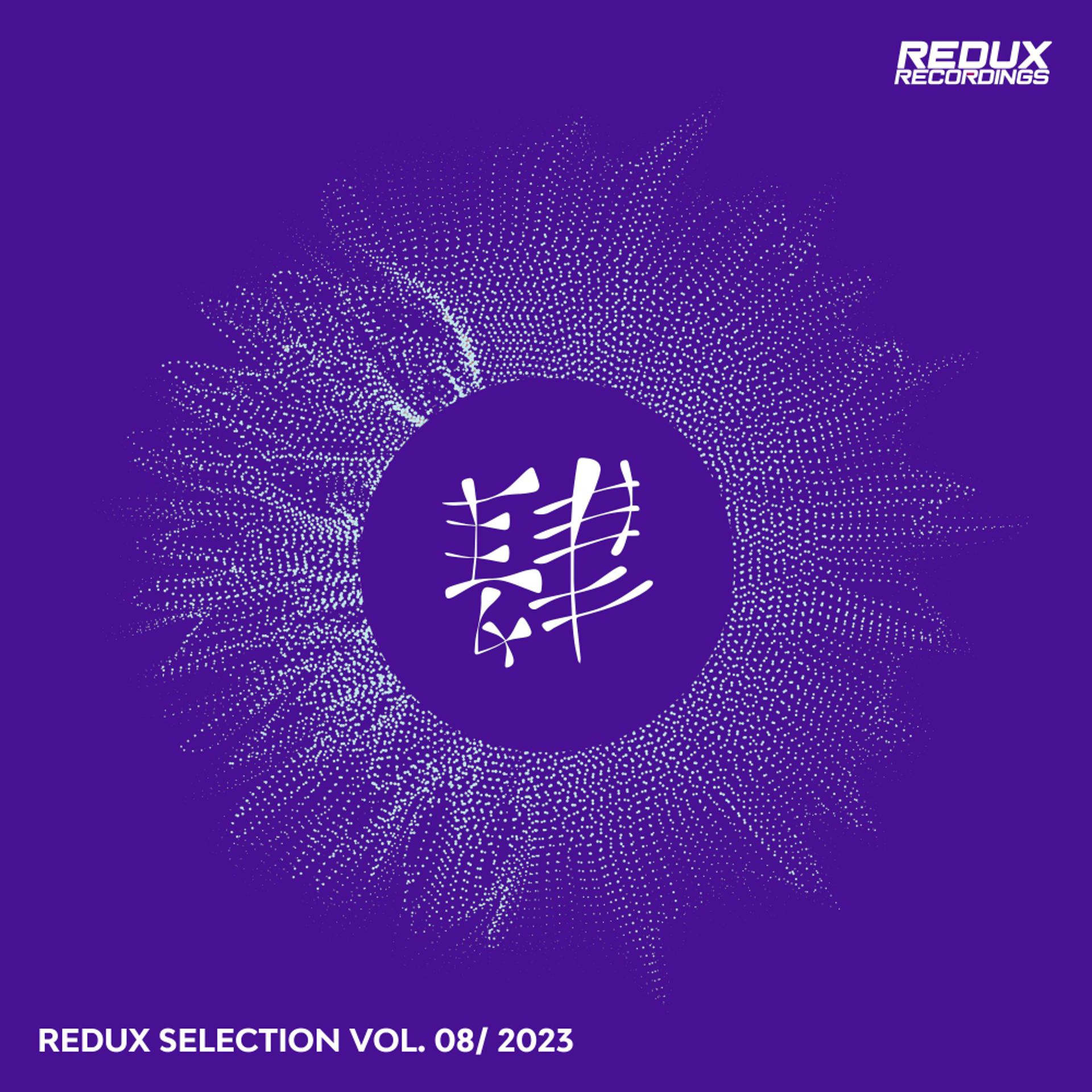 Постер альбома Redux Selection Vol. 8 / 2023