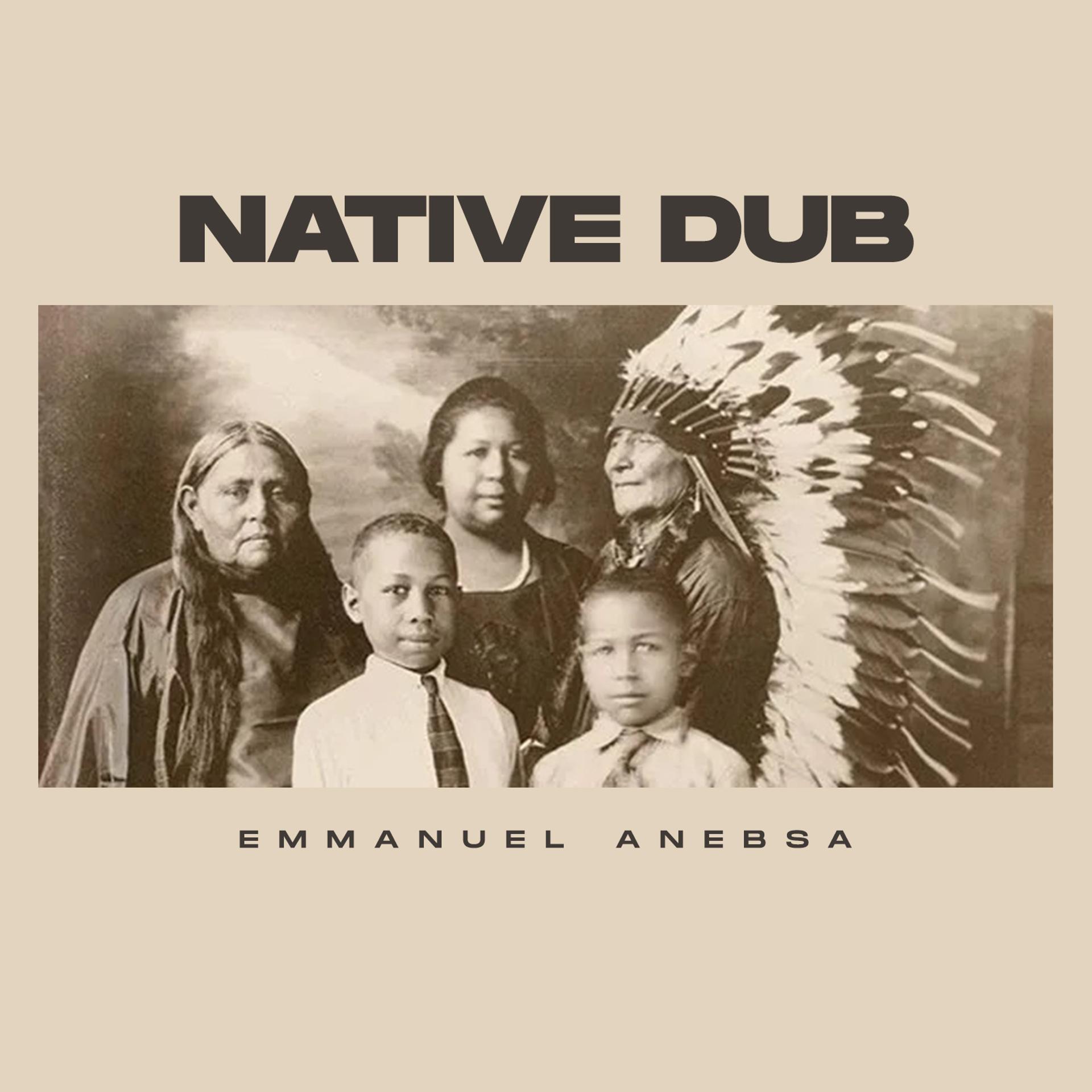 Постер альбома Native Dub
