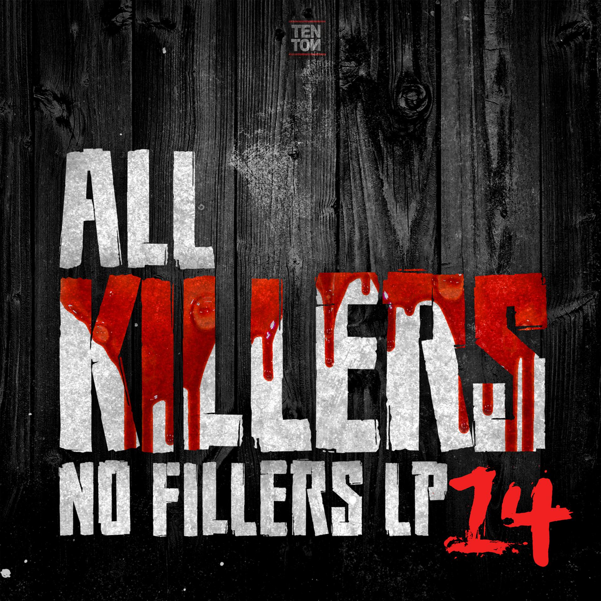 Постер альбома All Killers, No Fillers 14