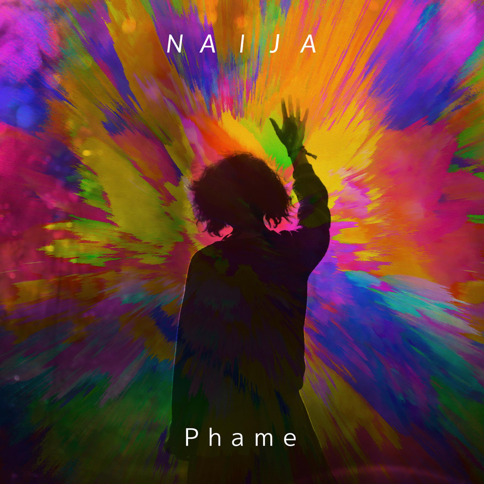 Постер альбома Naija