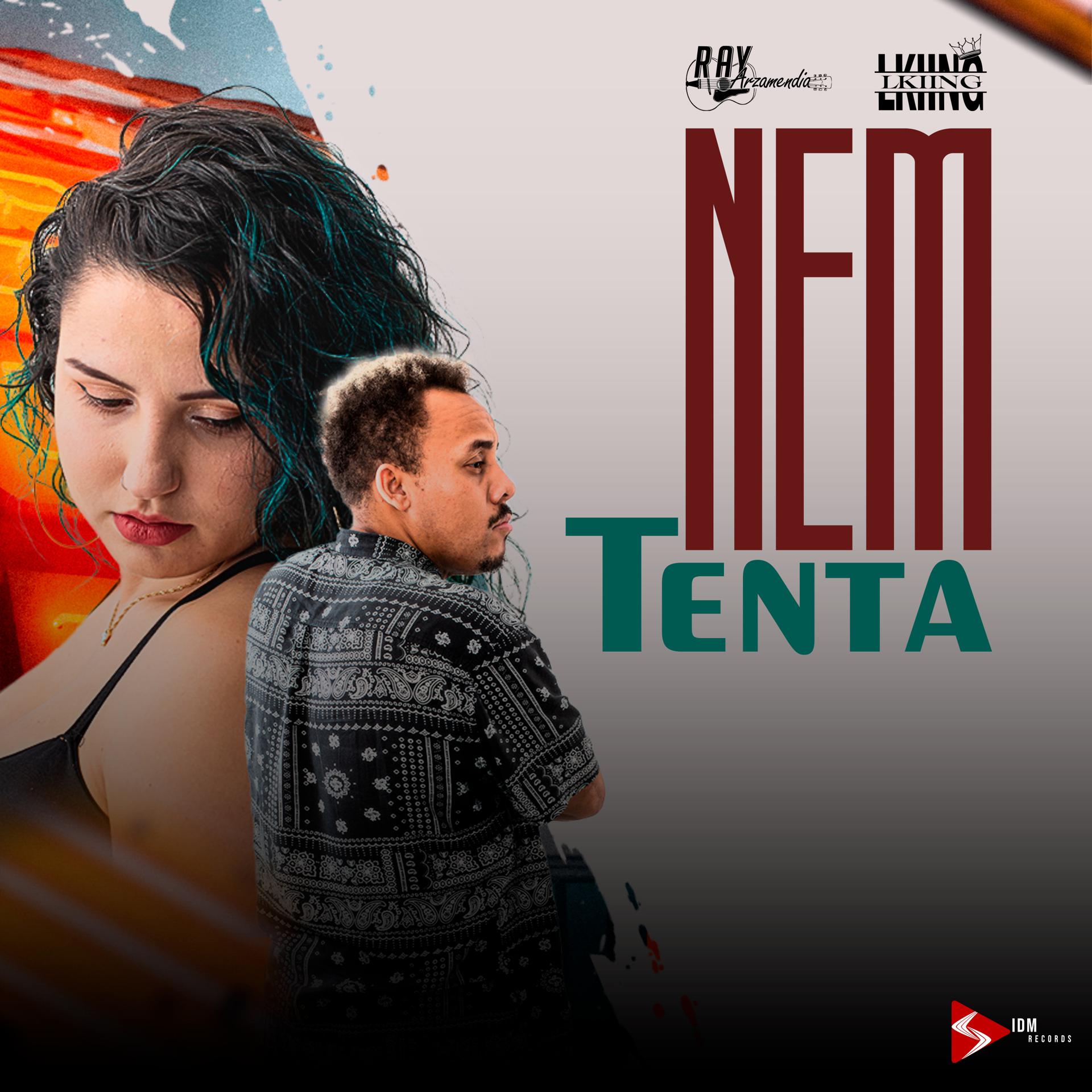 Постер альбома Nem Tenta