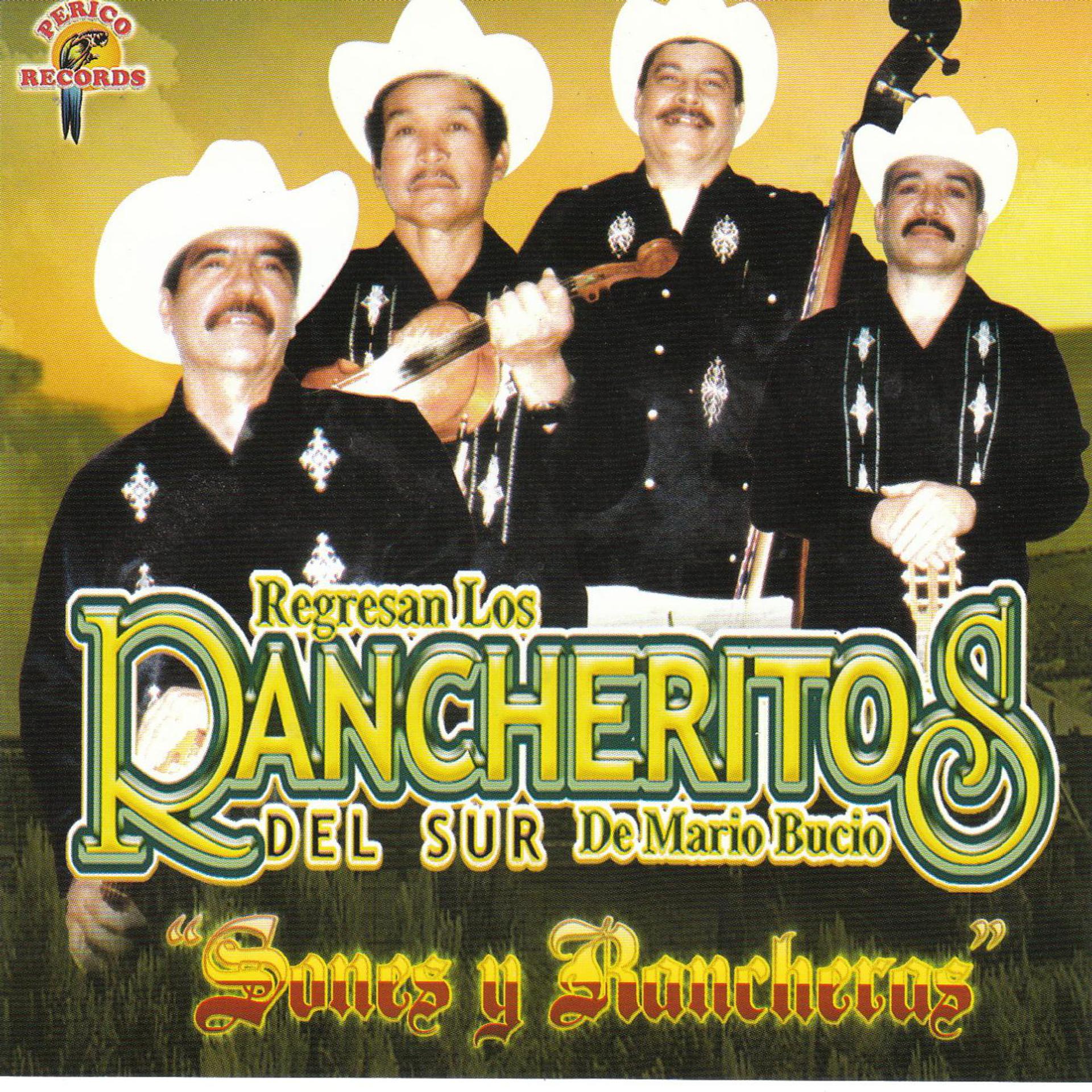 Постер альбома "Sones Y Rancheras"