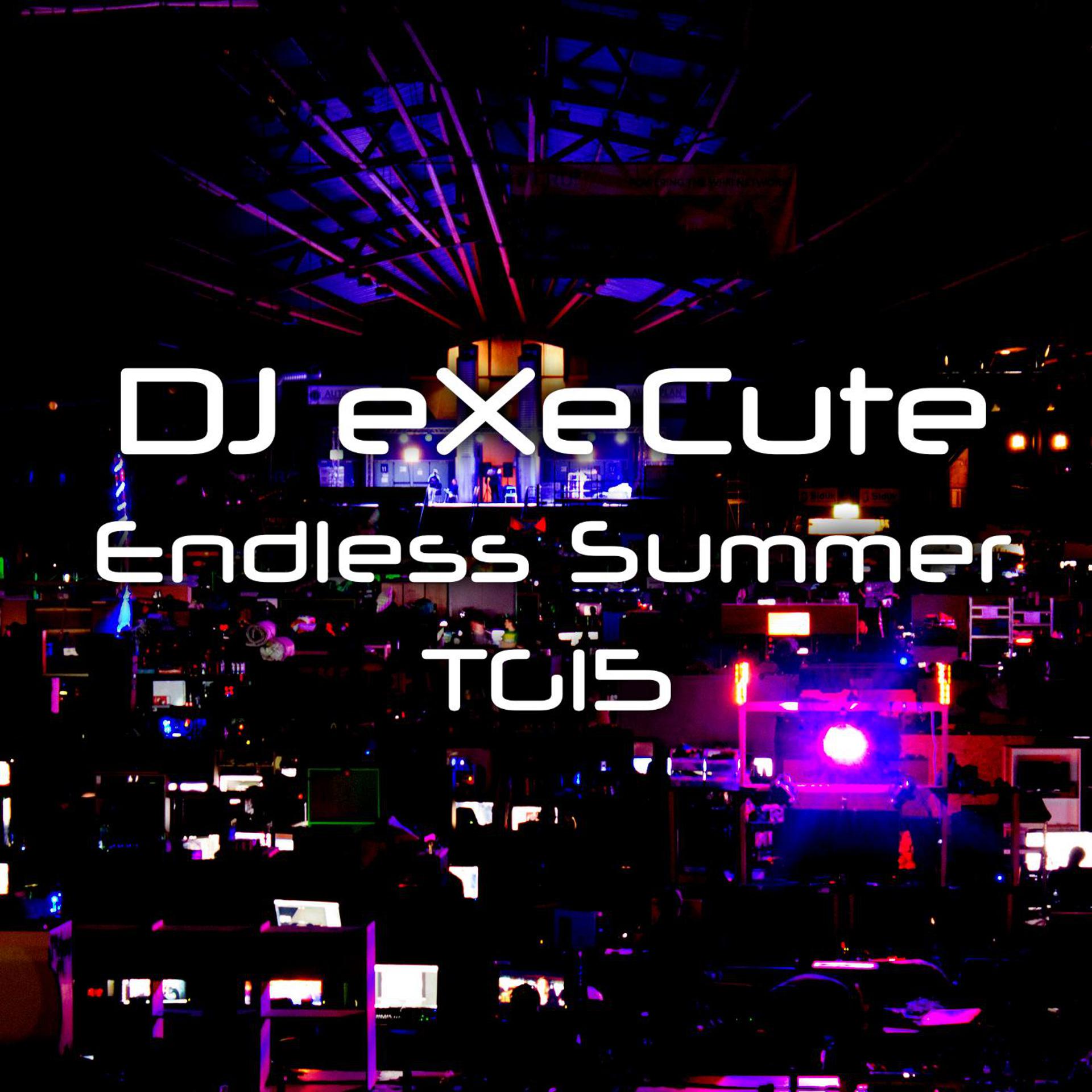 Постер альбома Endless Summer (Tg15)