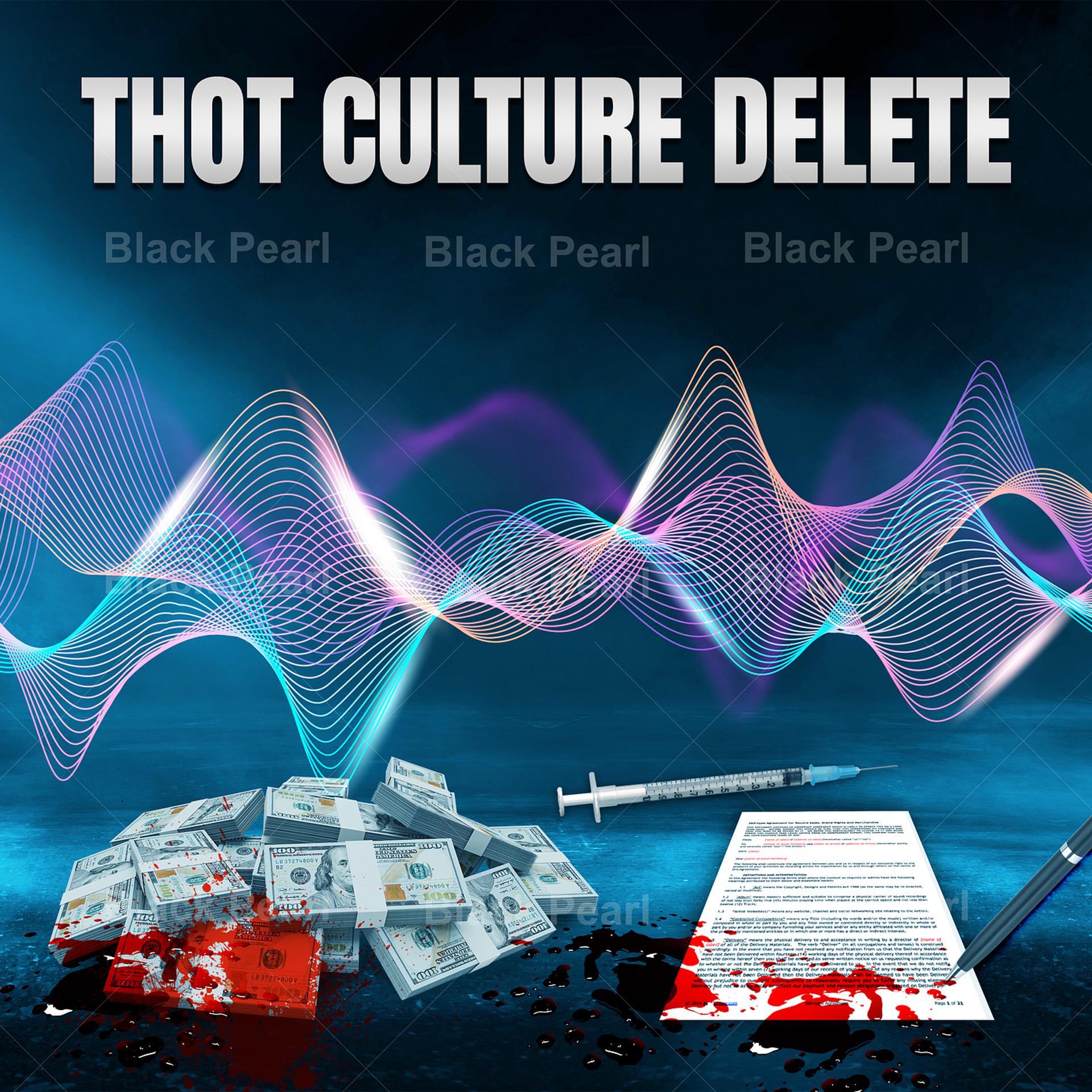 Постер альбома Thot Culture Delete