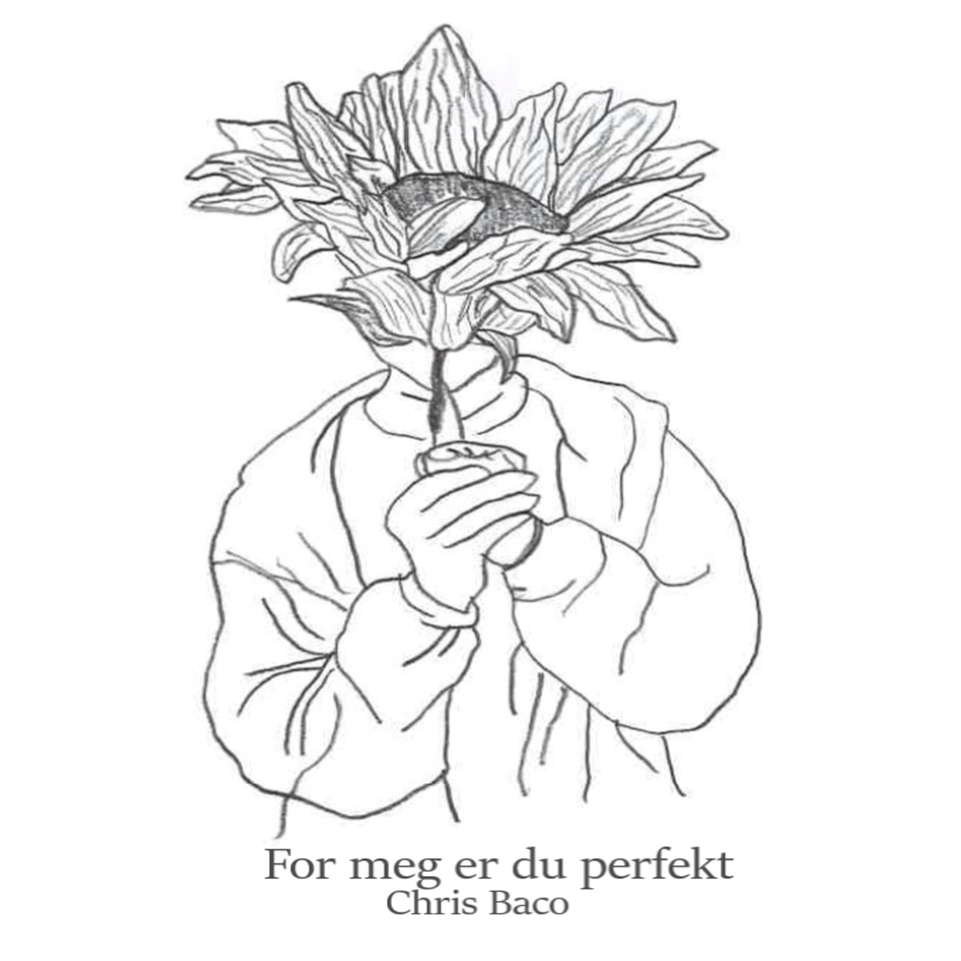 Постер альбома For Meg Er Du Perfekt
