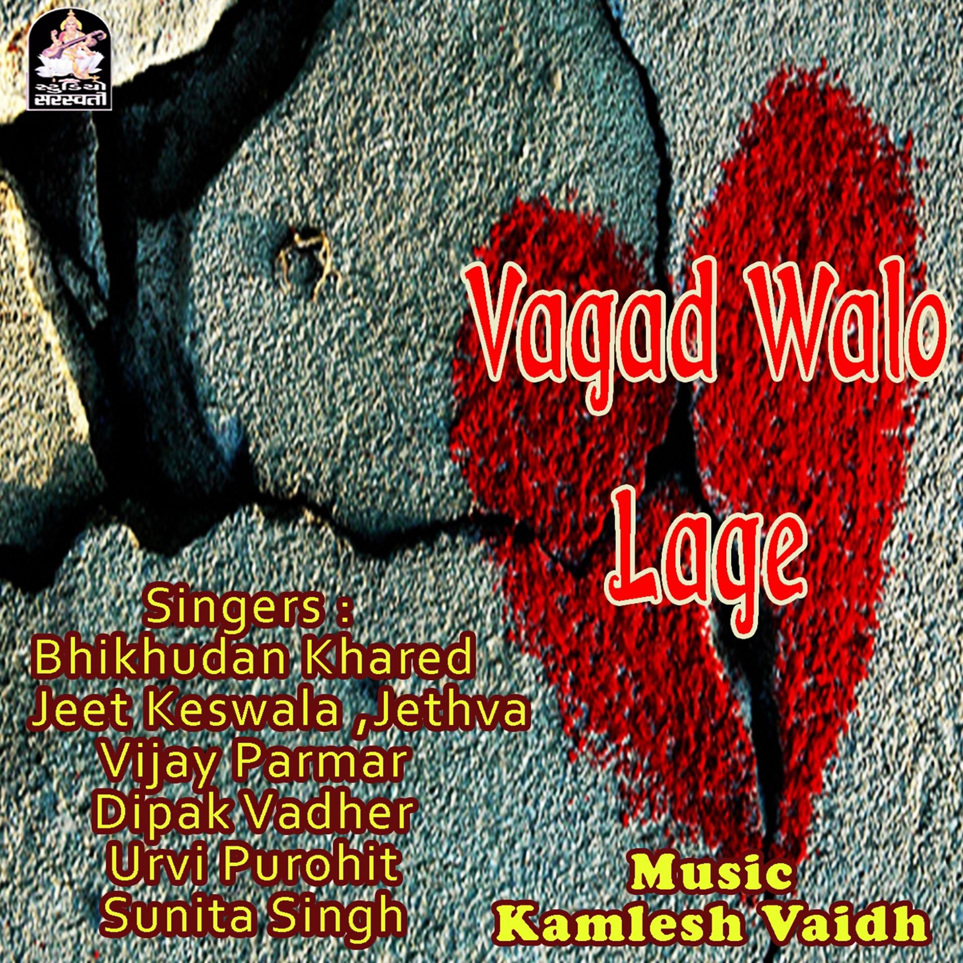 Постер альбома Vagad Walo Lage