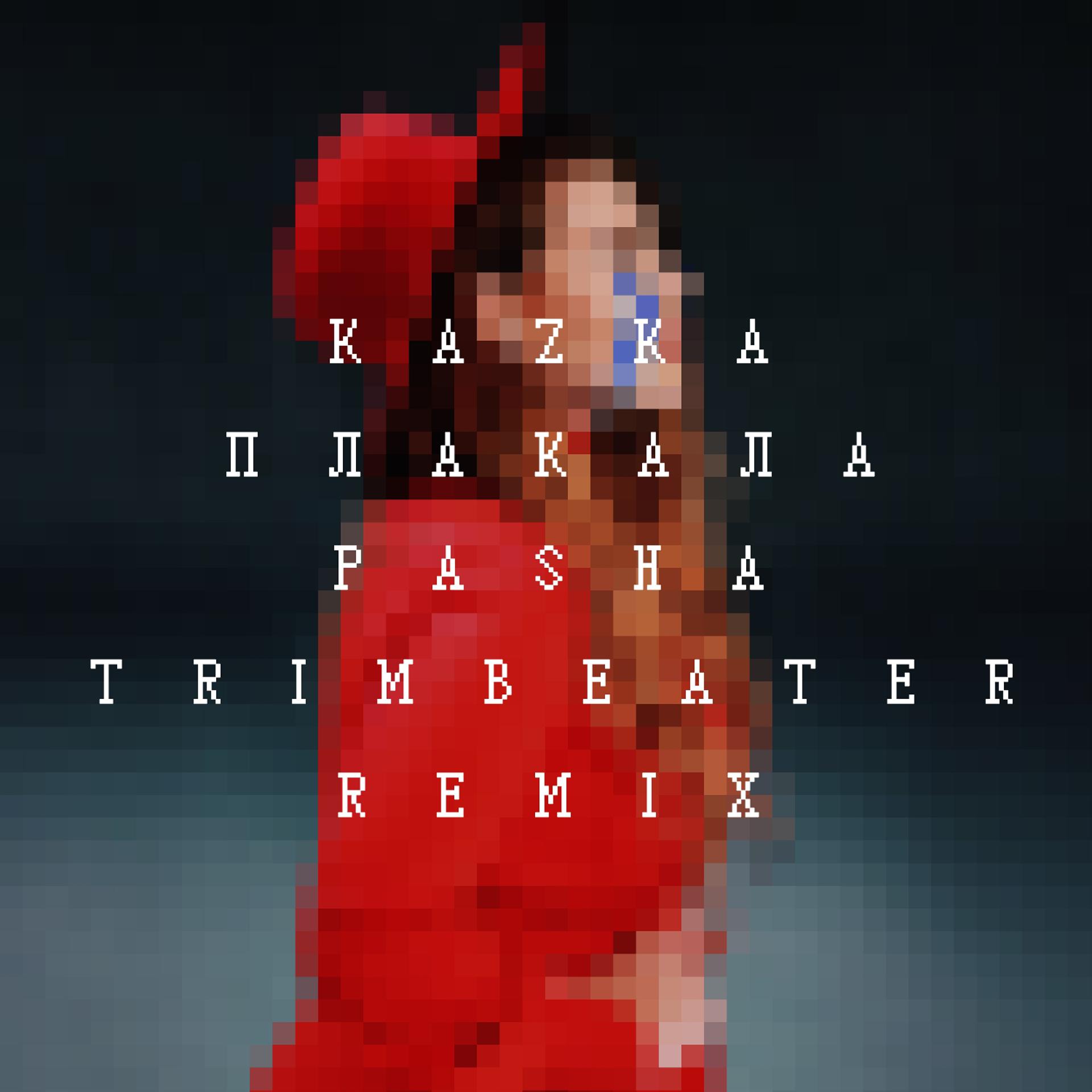 Постер альбома ПЛАКАЛА (Pasha Trimbeater Remix)