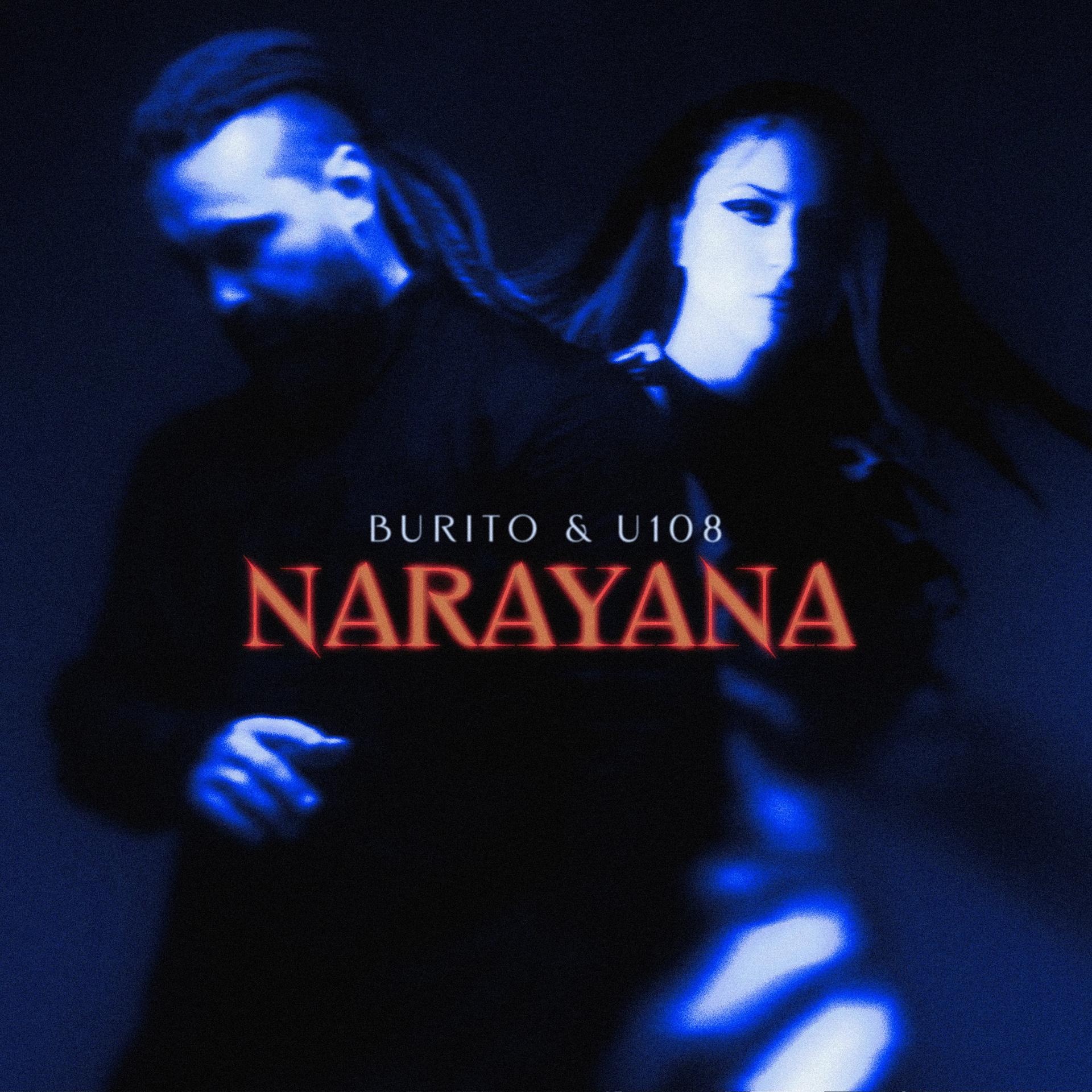 Постер альбома Narayana