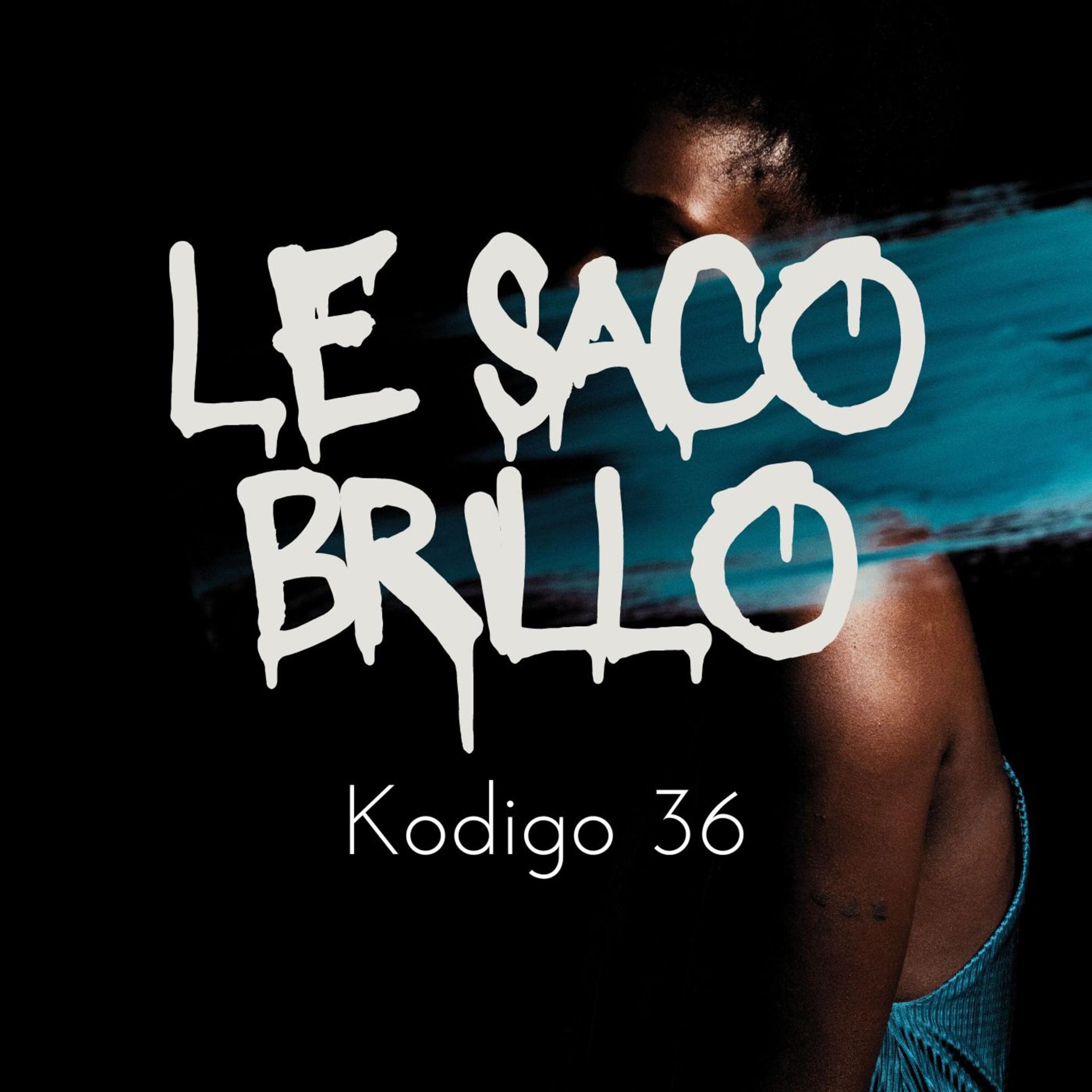 Постер альбома Le Saco Brillo