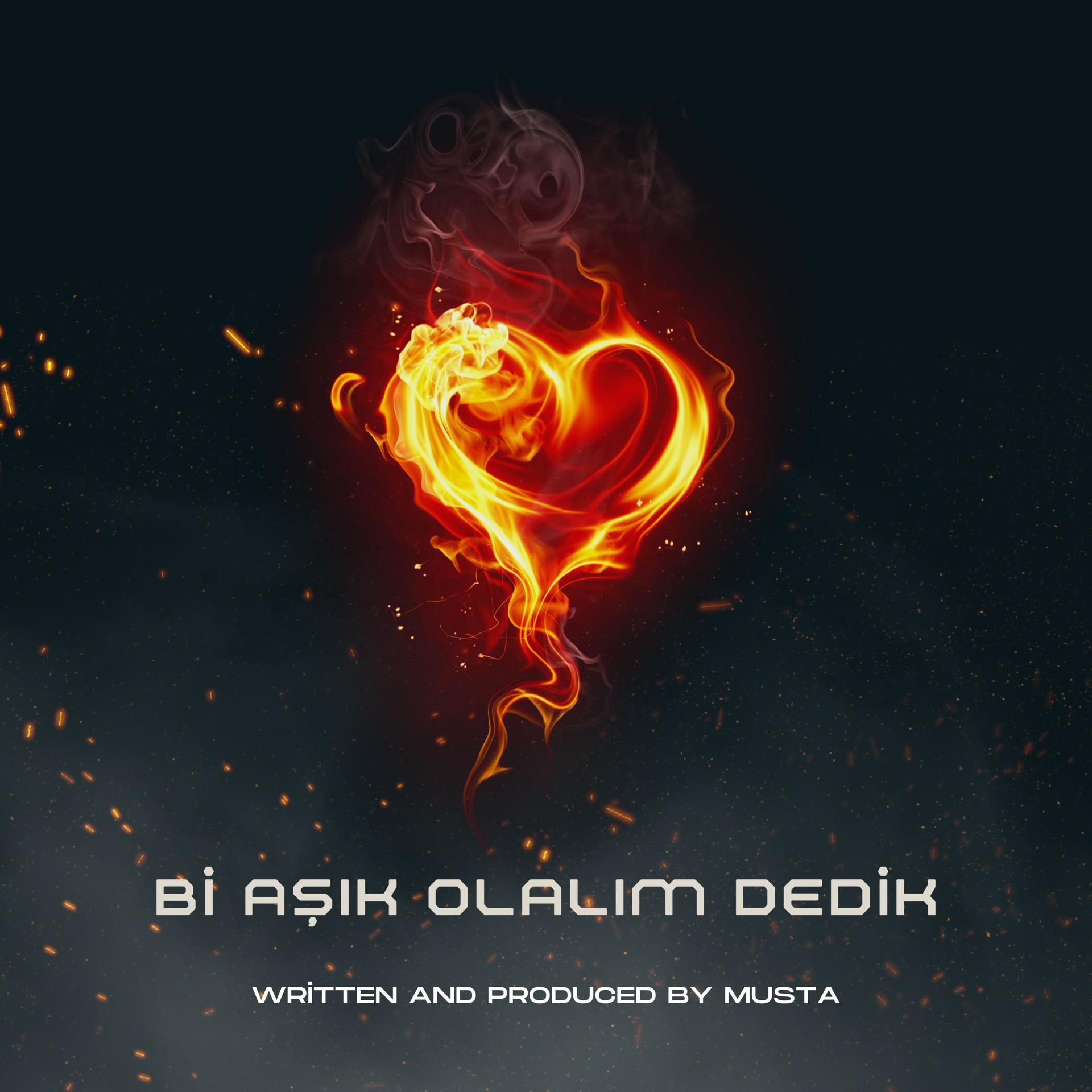 Постер альбома Bi Aşık Olalım Dedik