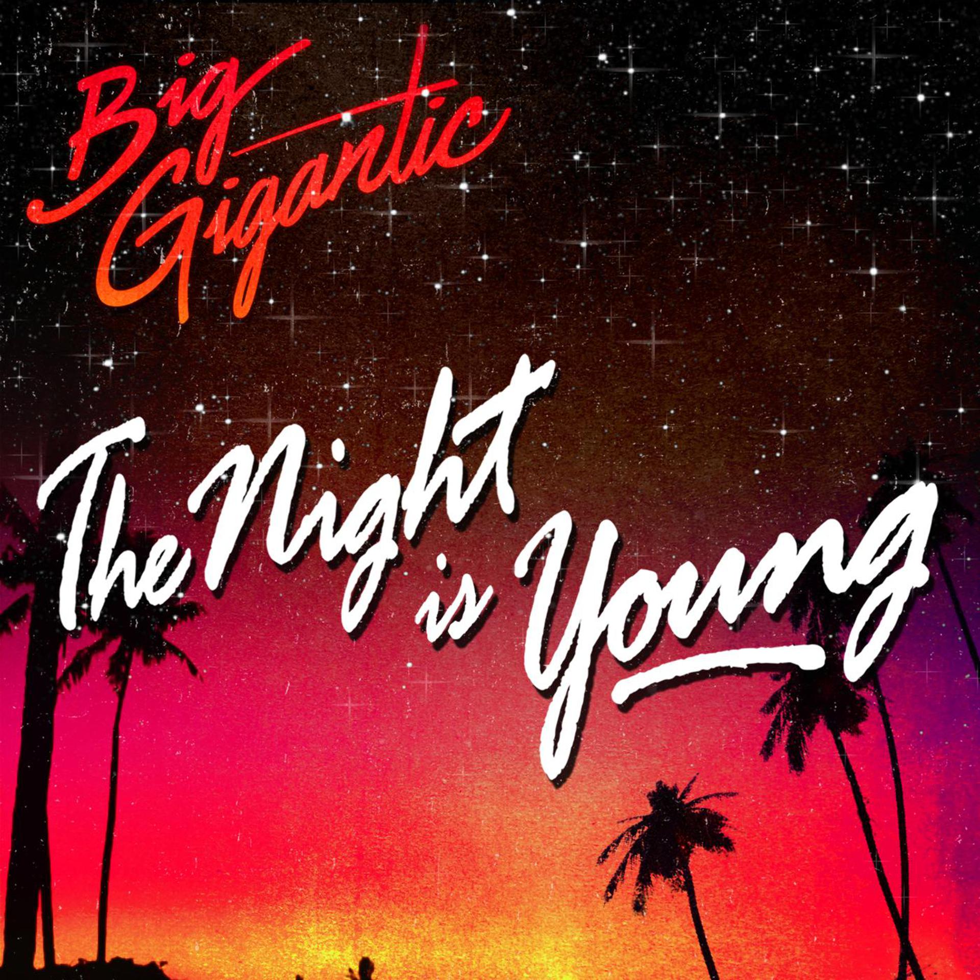 Постер альбома The Night Is Young