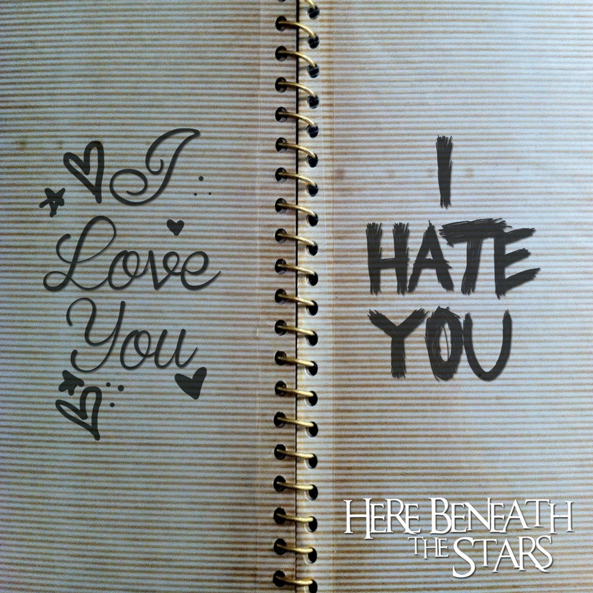 Постер альбома I Love You, I Hate You